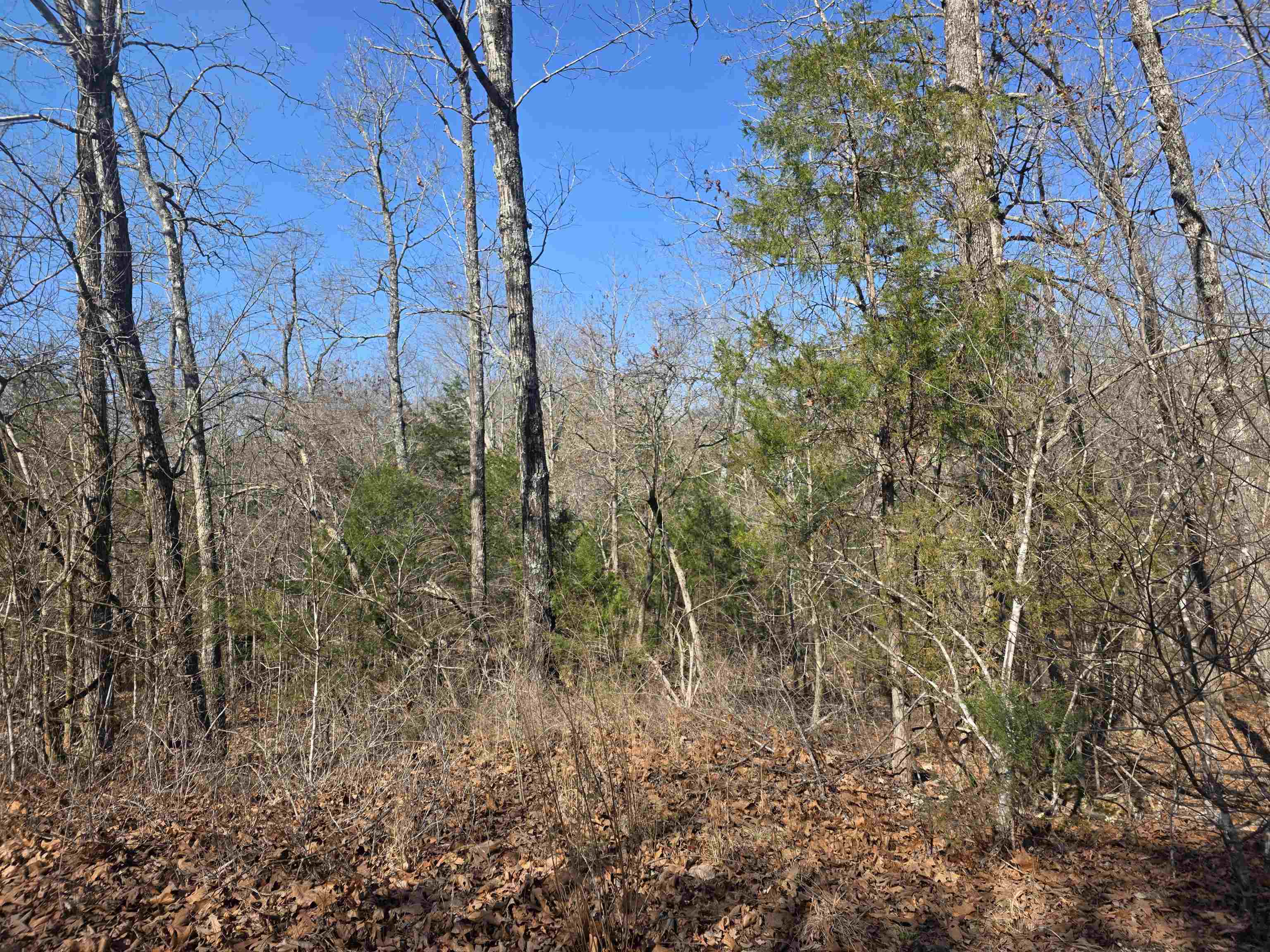 L41 B9 Pahokee  Cherokee Village, AR