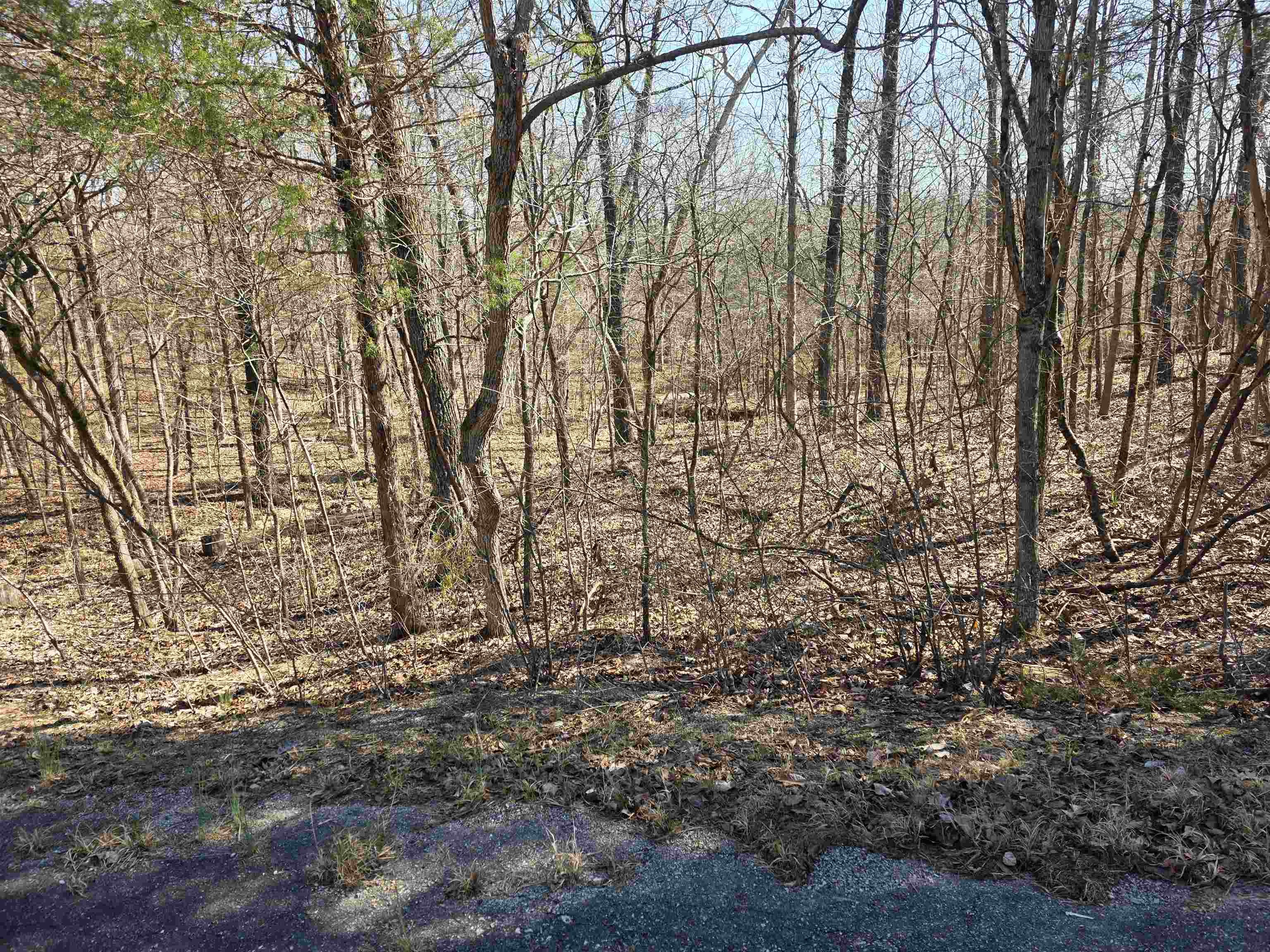 L16 B8 Lochloosa  Cherokee Village, AR