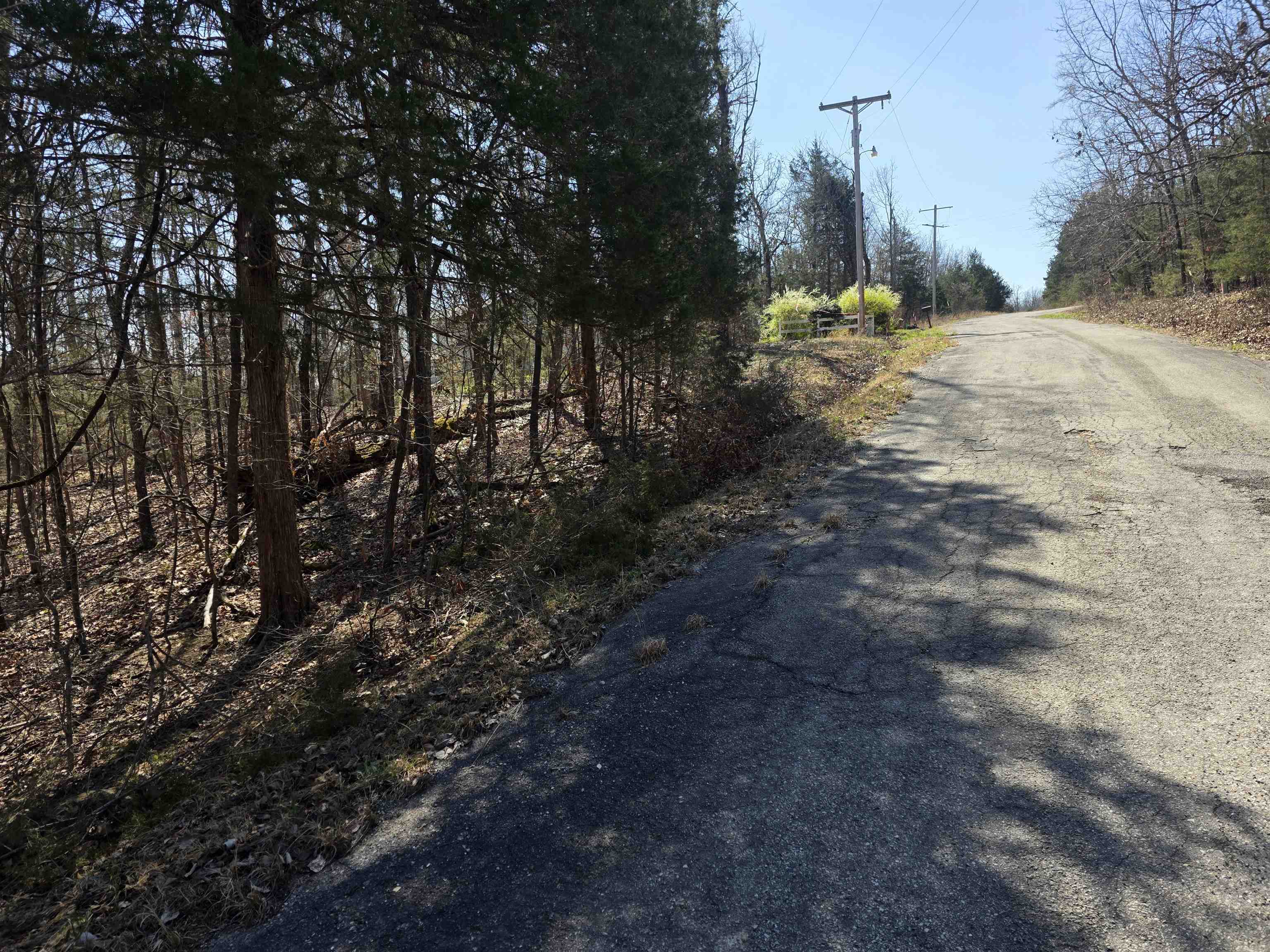 L16 B8 Lochloosa  Cherokee Village, AR