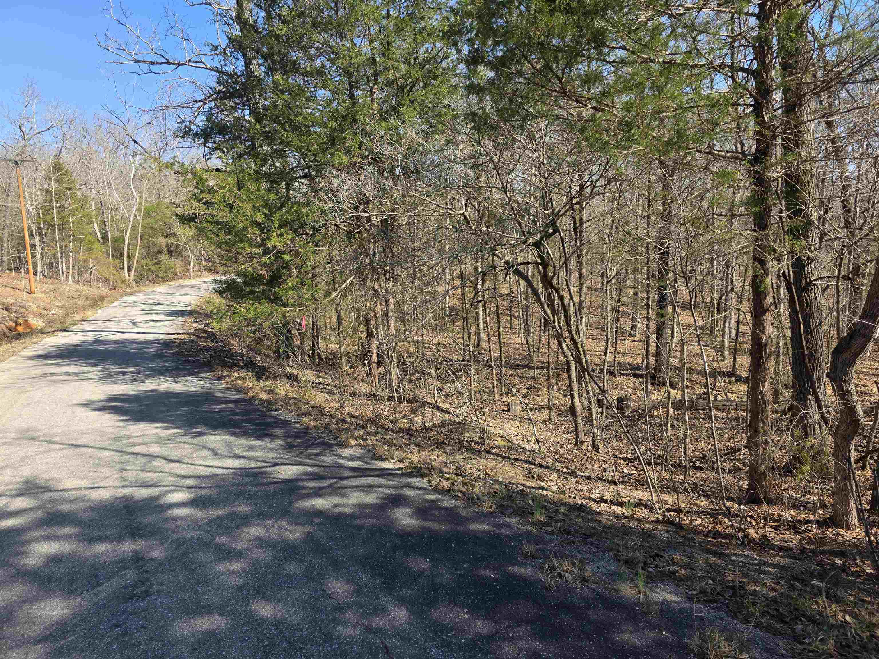 L16 B8 Lochloosa  Cherokee Village, AR