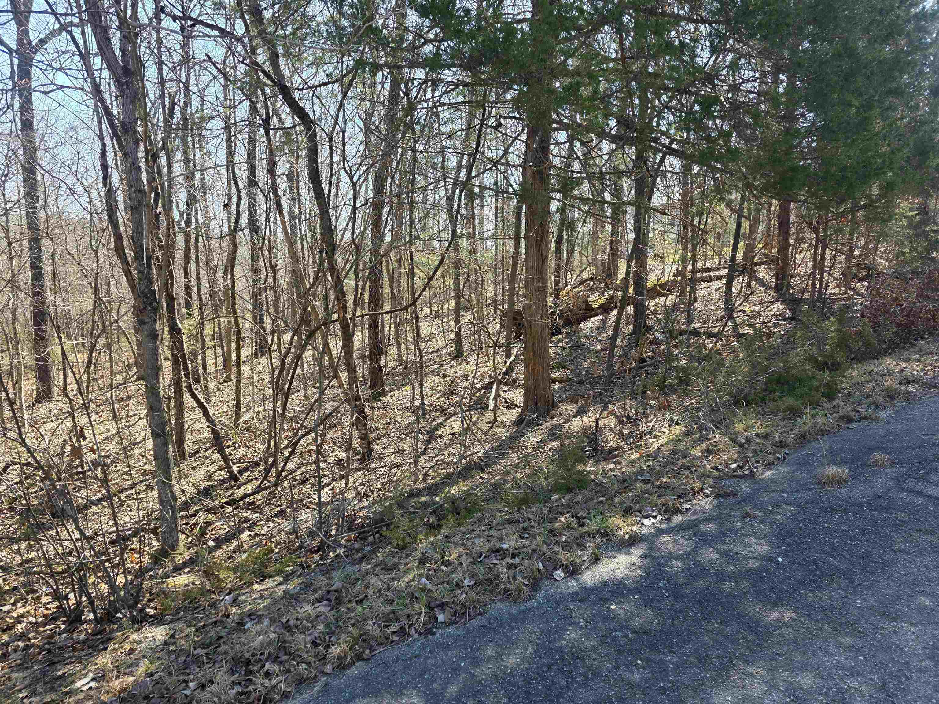 L16 B8 Lochloosa  Cherokee Village, AR