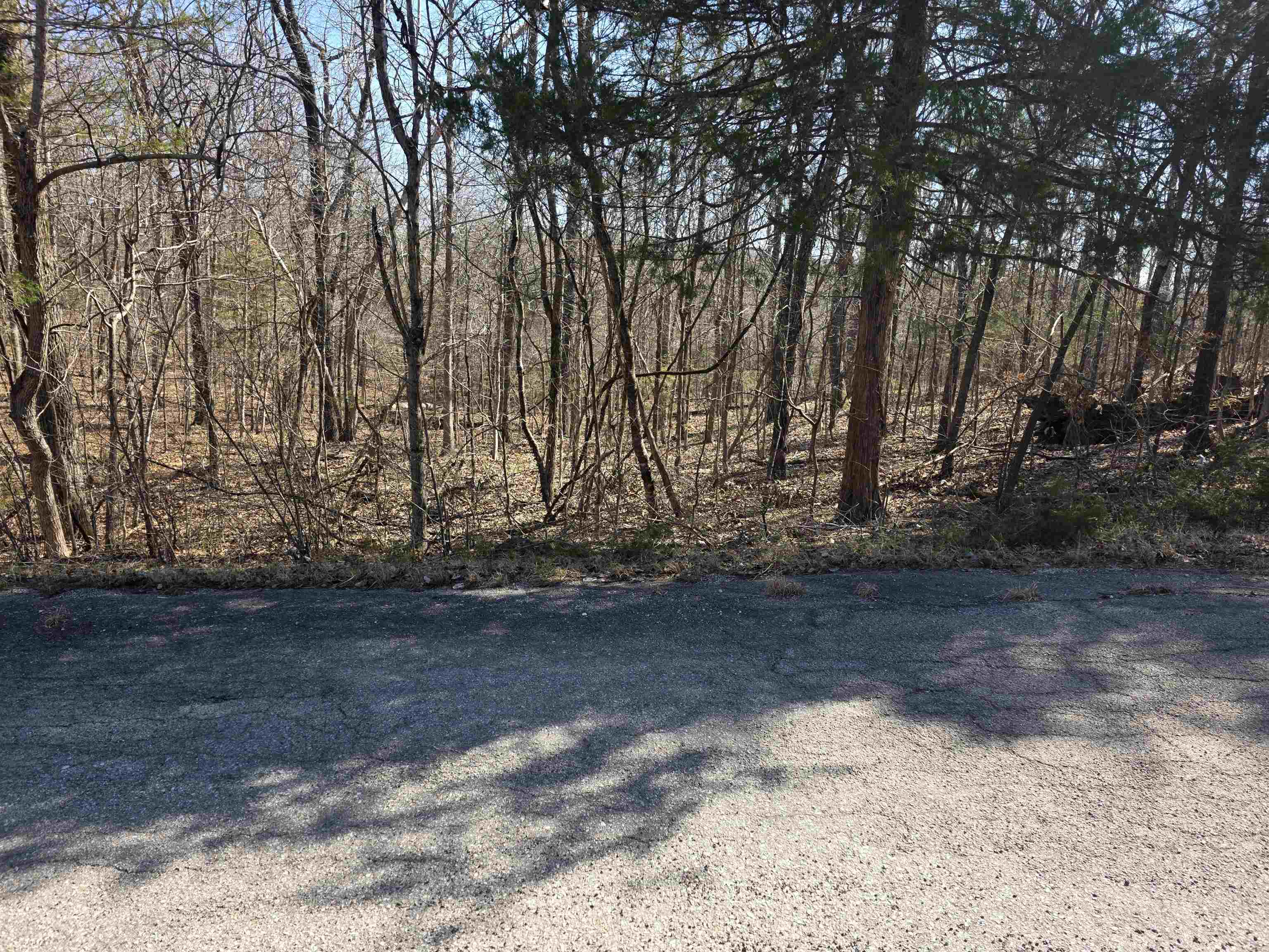 L16 B8 Lochloosa  Cherokee Village, AR