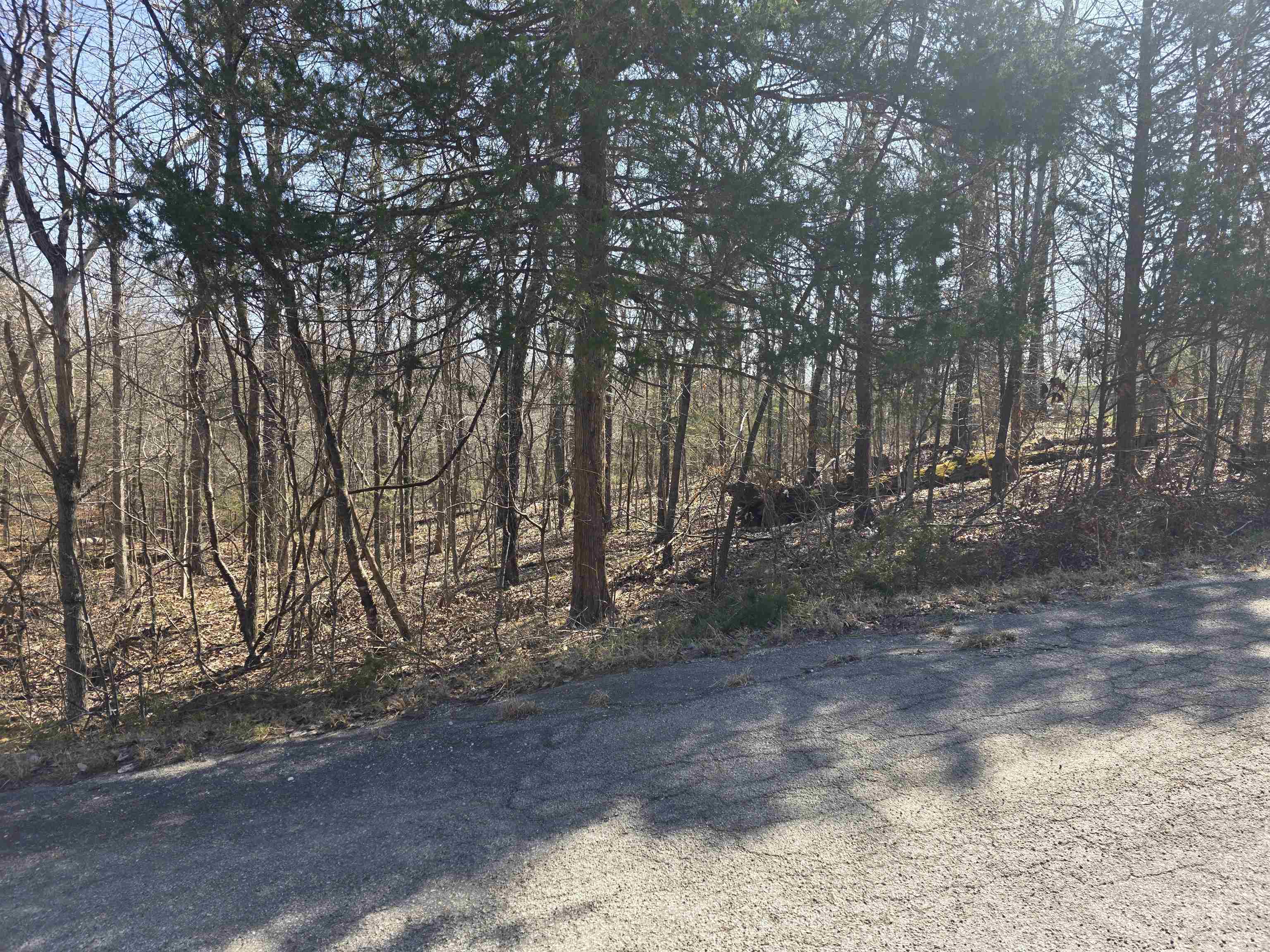 L16 B8 Lochloosa  Cherokee Village, AR