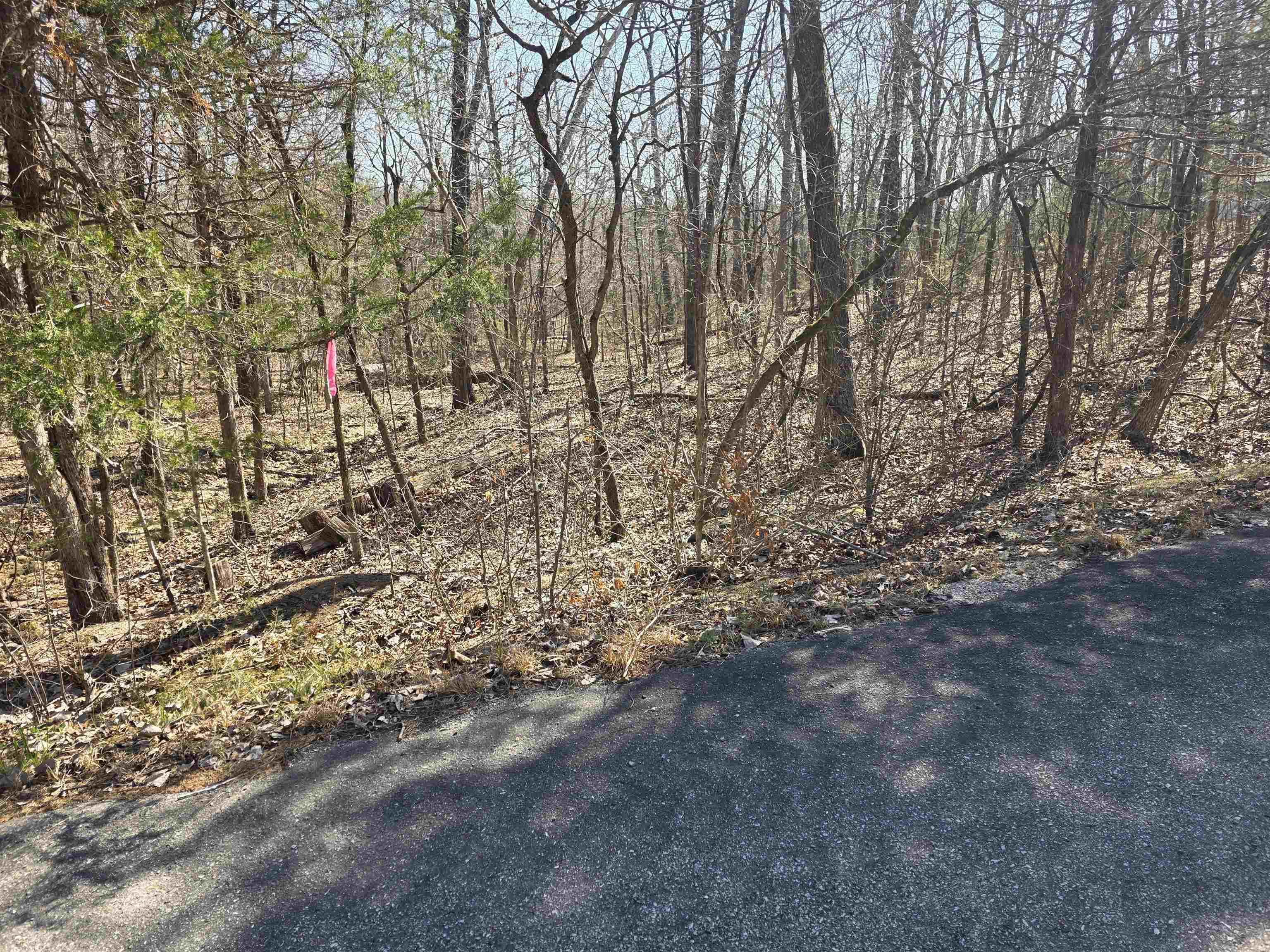 L16 B8 Lochloosa  Cherokee Village, AR