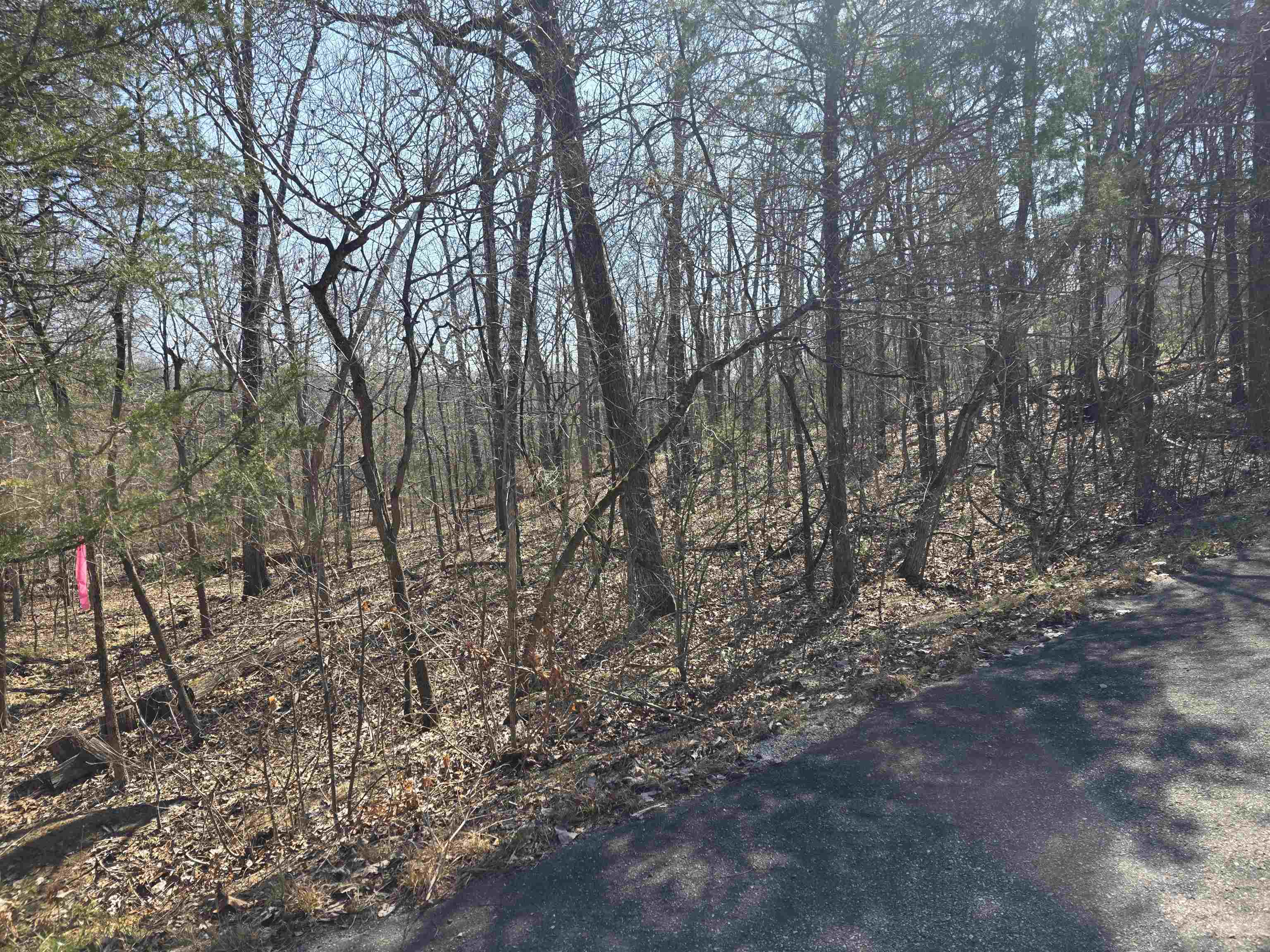 L16 B8 Lochloosa  Cherokee Village, AR