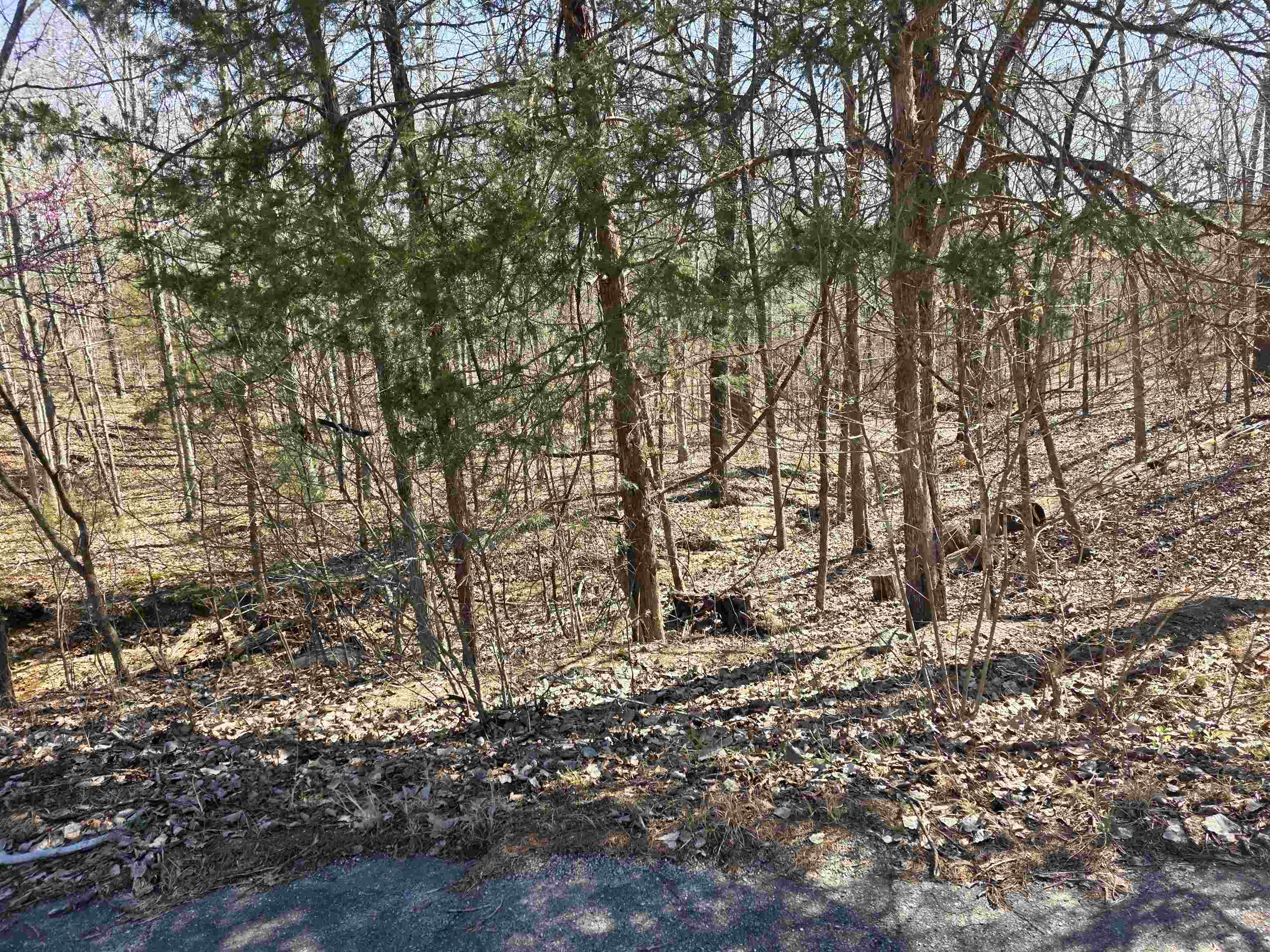 L16 B8 Lochloosa  Cherokee Village, AR