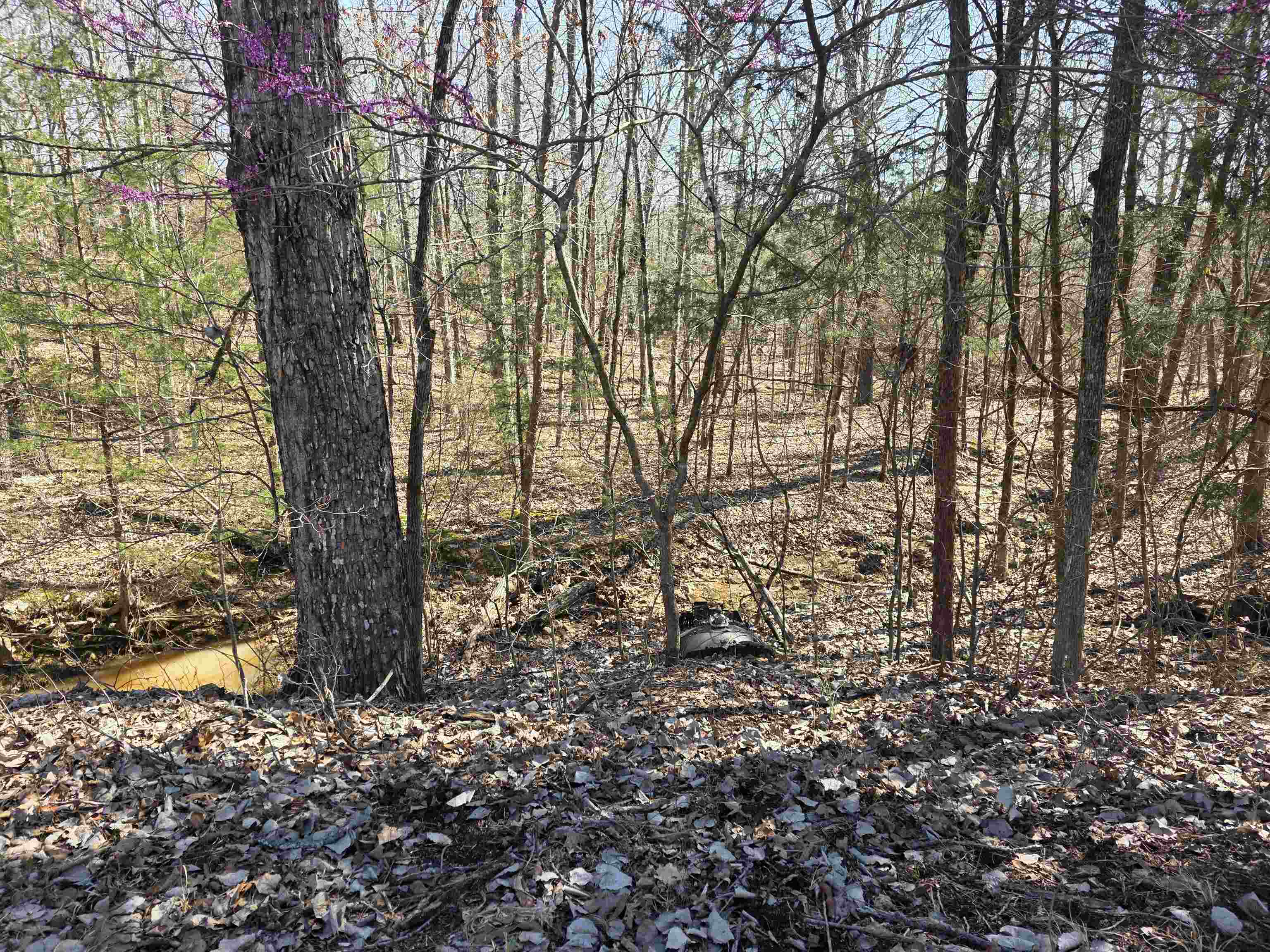 L15 B8 Lochloosa  Cherokee Village, AR