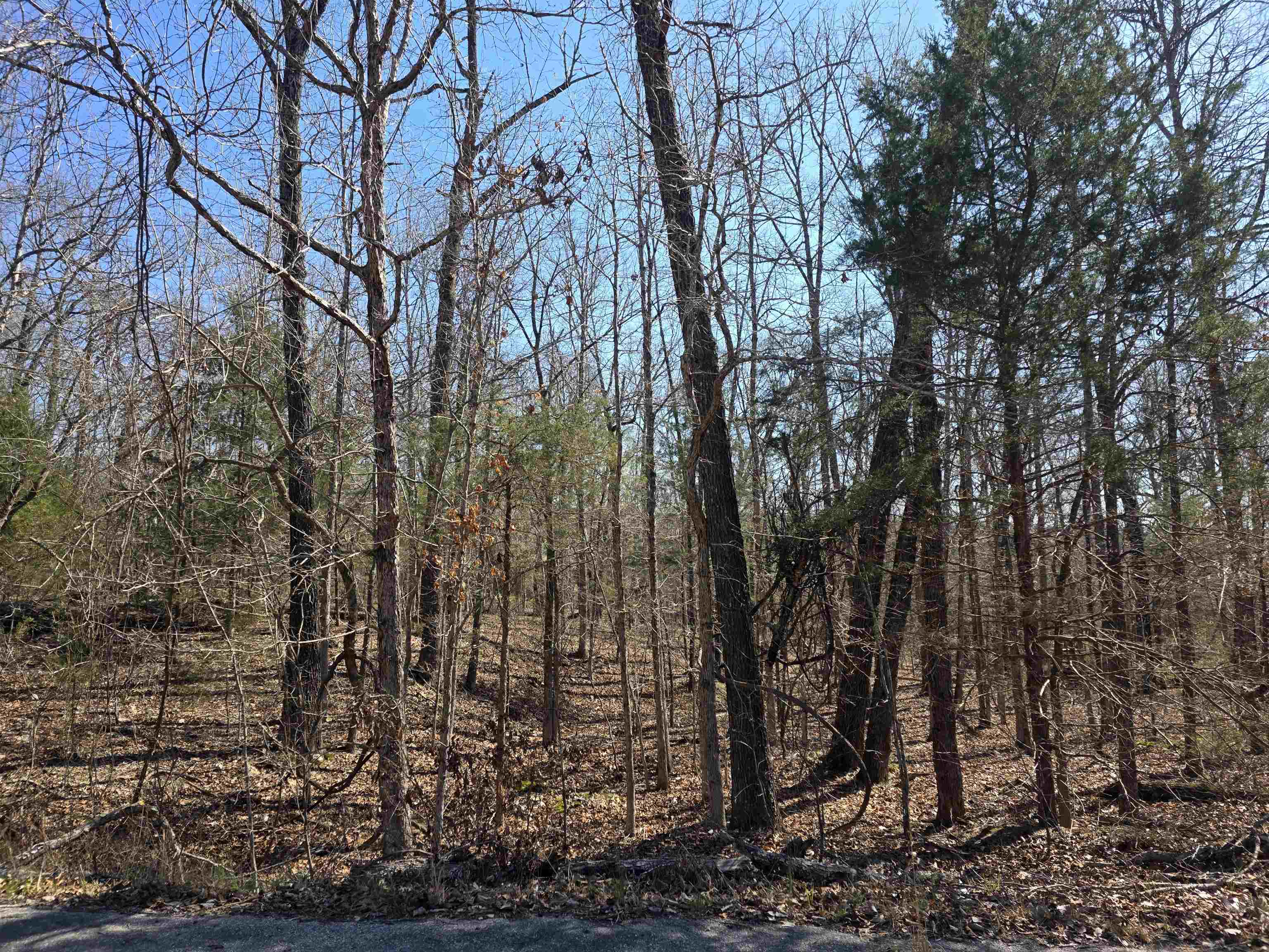 L15 B8 Lochloosa  Cherokee Village, AR