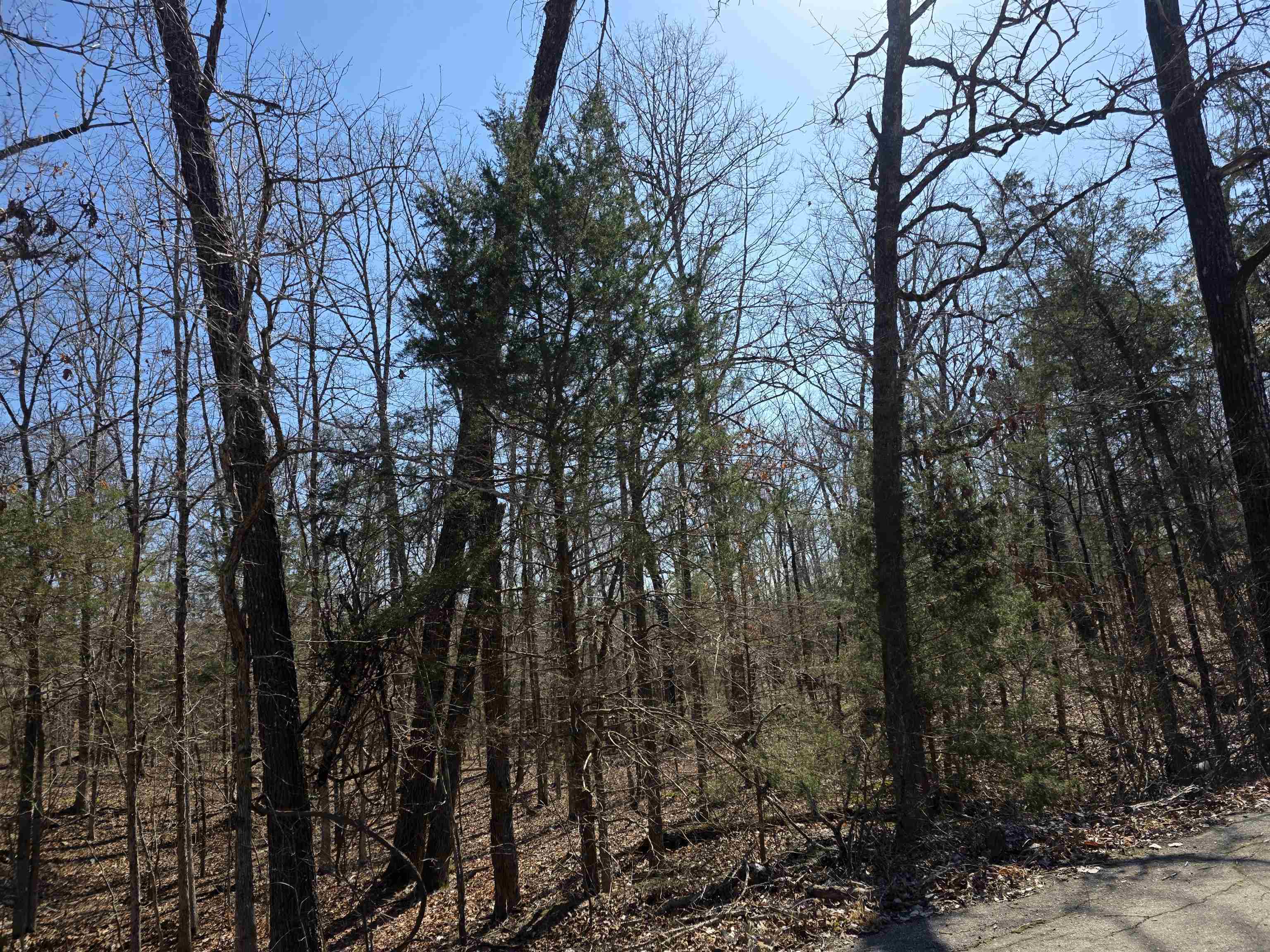 L15 B8 Lochloosa  Cherokee Village, AR