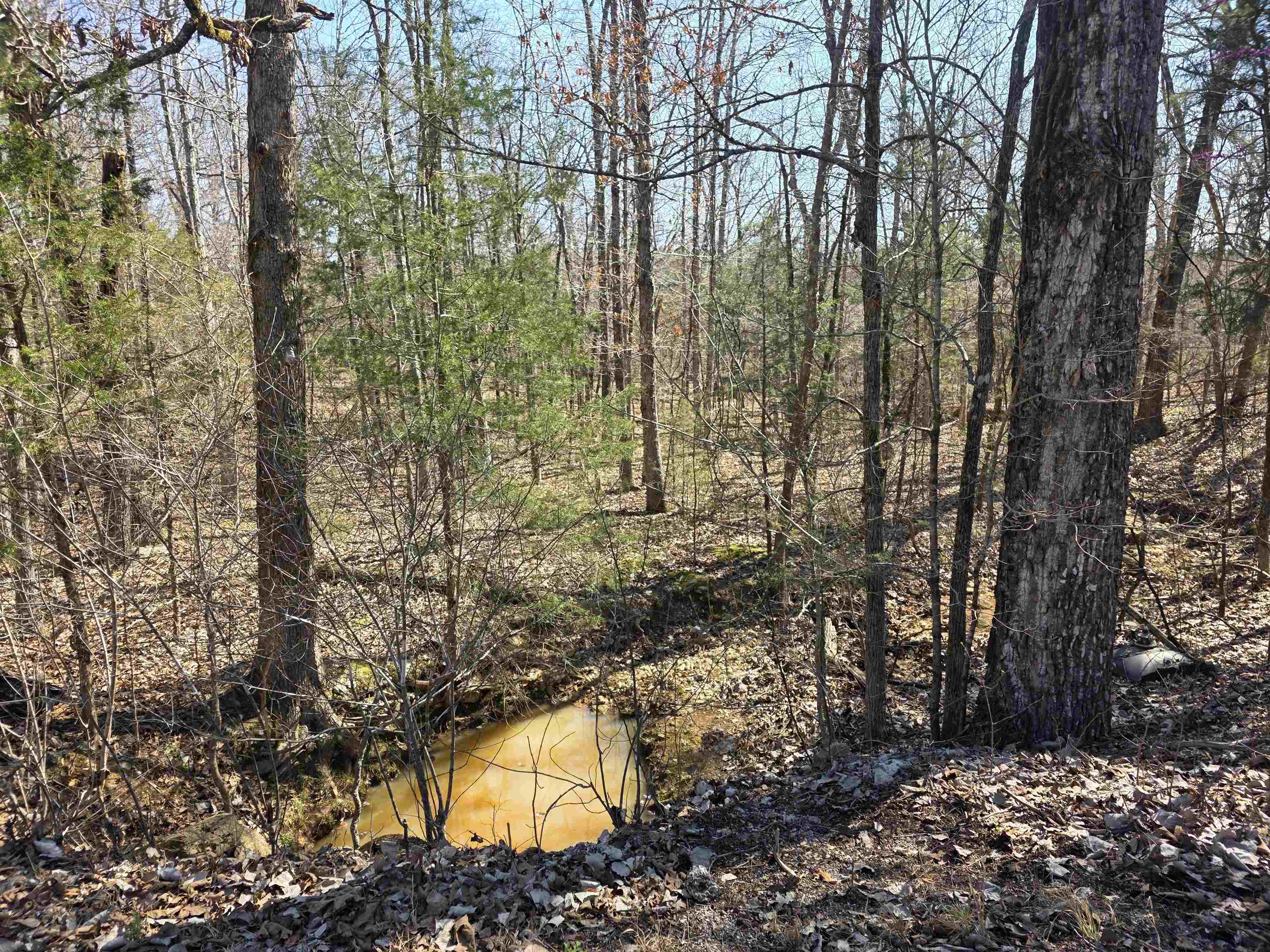 L15 B8 Lochloosa  Cherokee Village, AR