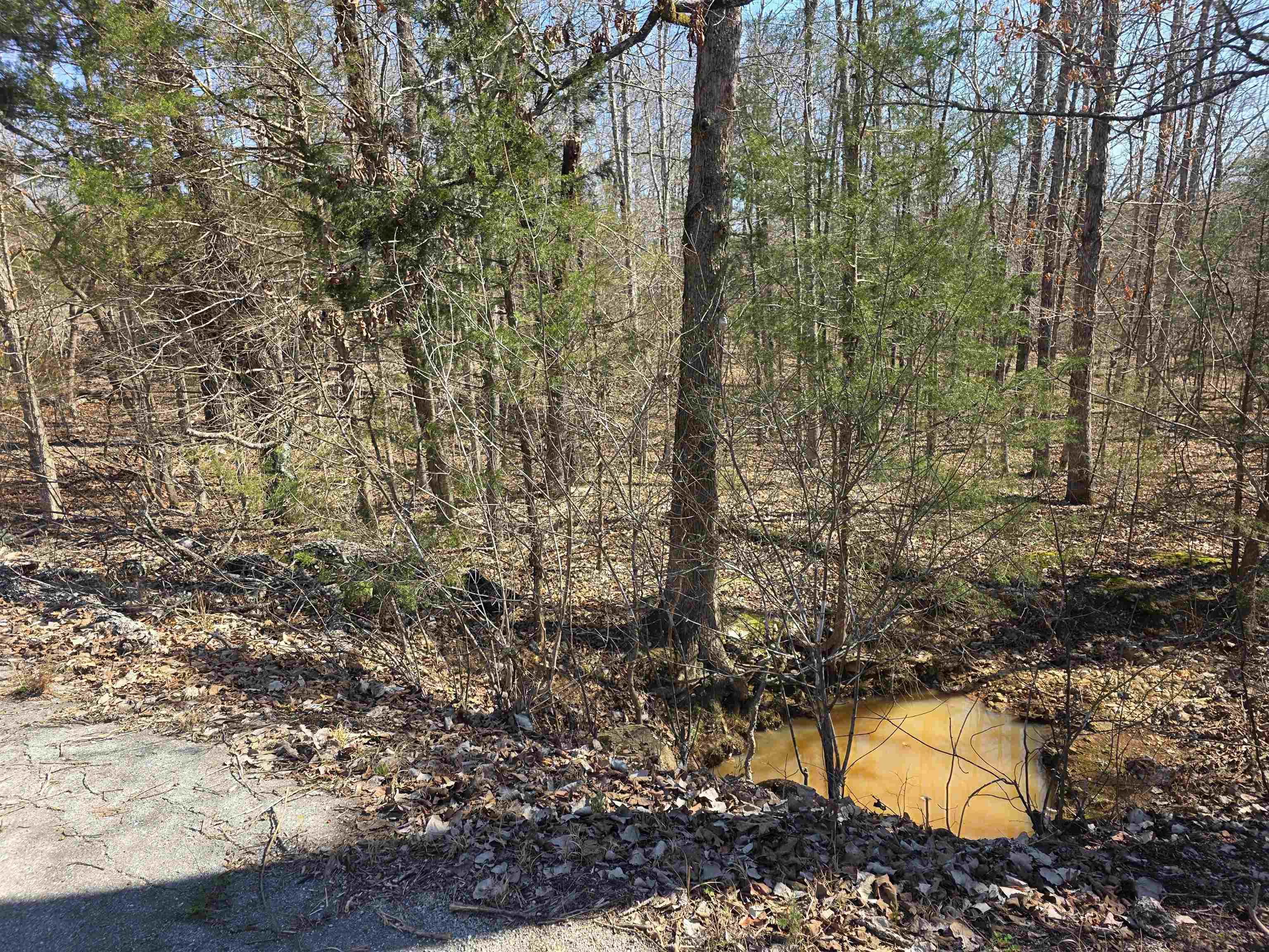 L15 B8 Lochloosa  Cherokee Village, AR