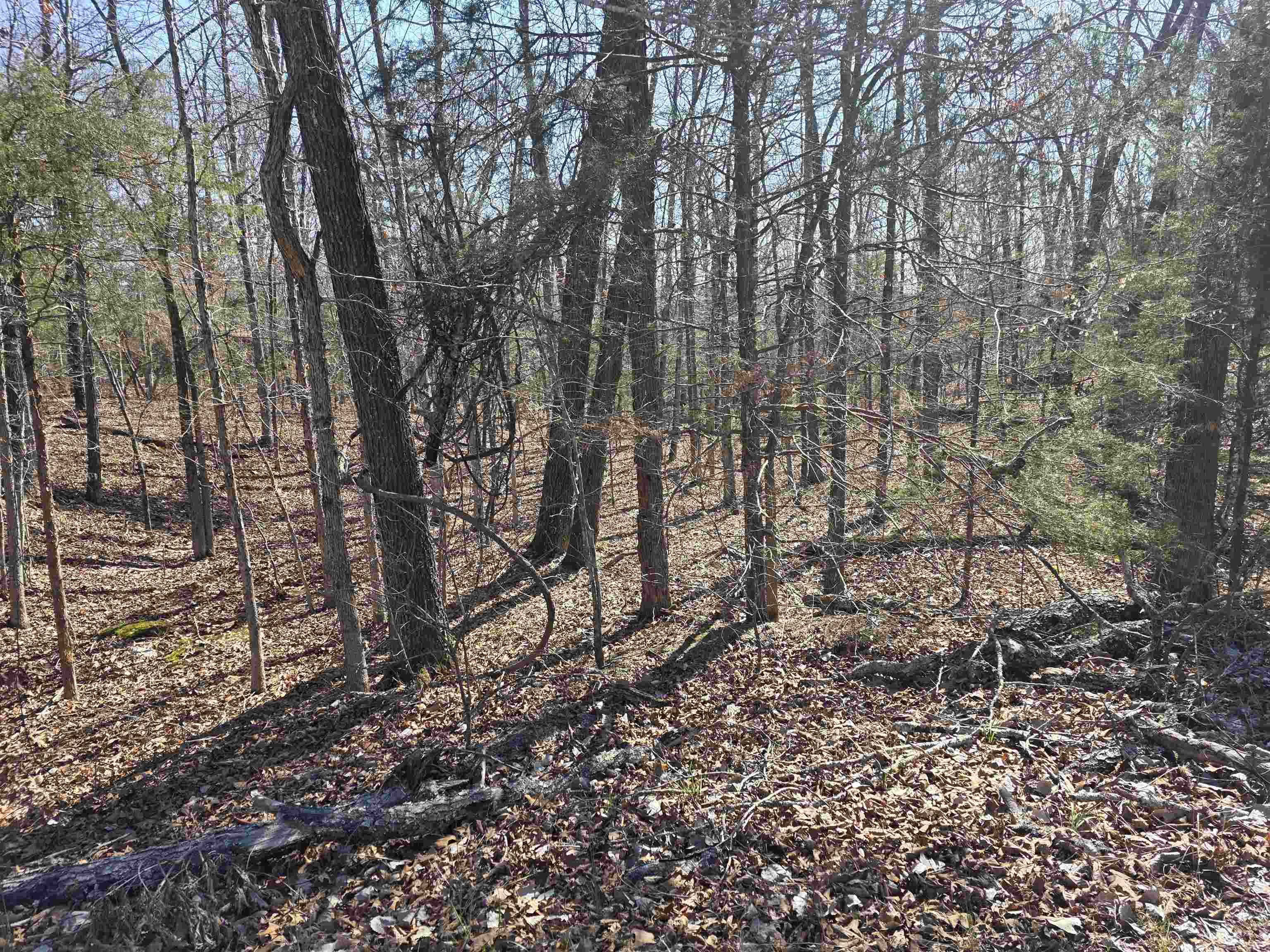 L15 B8 Lochloosa  Cherokee Village, AR