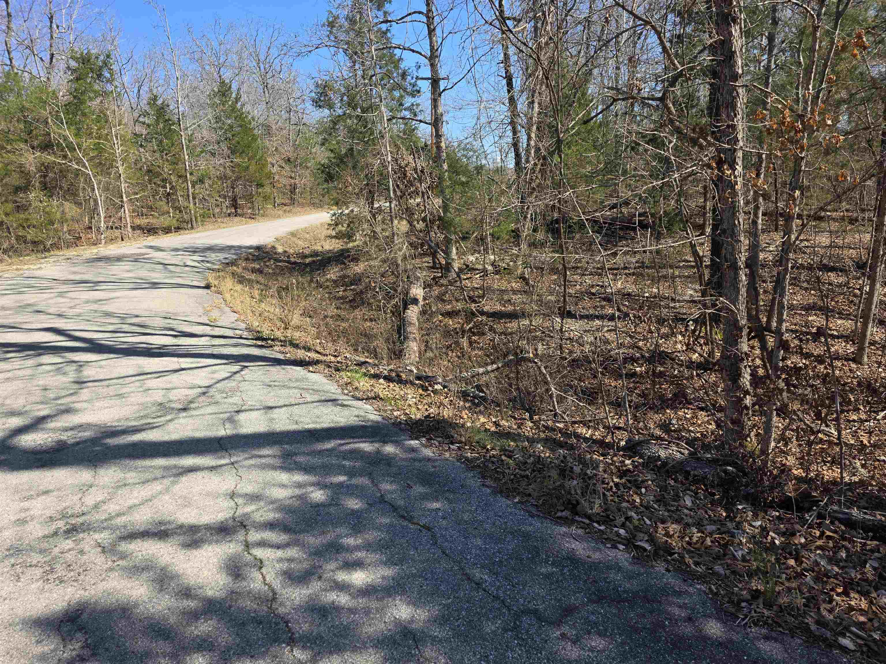 L15 B8 Lochloosa  Cherokee Village, AR