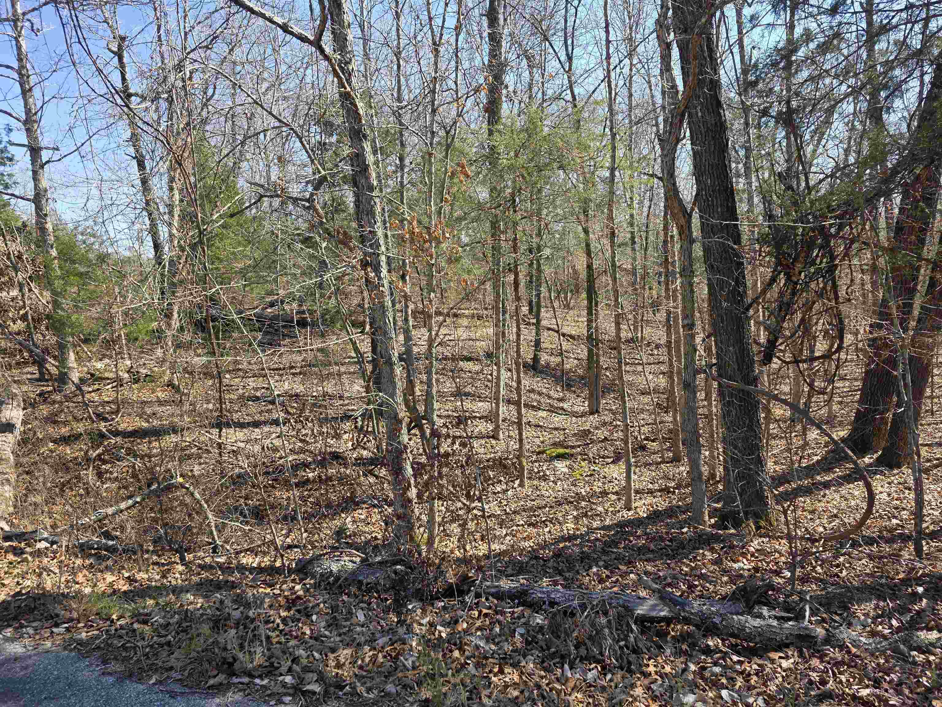 L15 B8 Lochloosa  Cherokee Village, AR