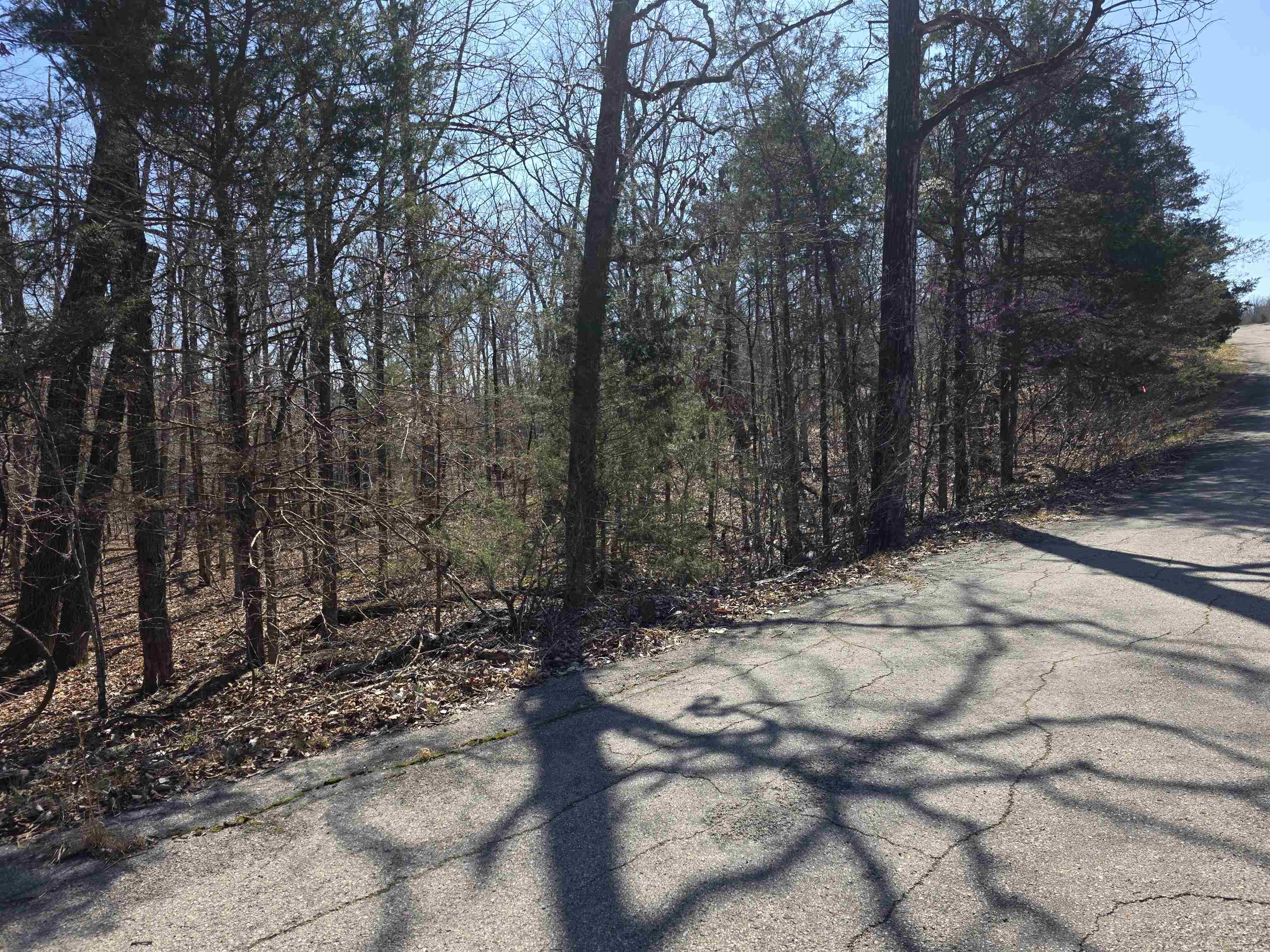 L15 B8 Lochloosa  Cherokee Village, AR