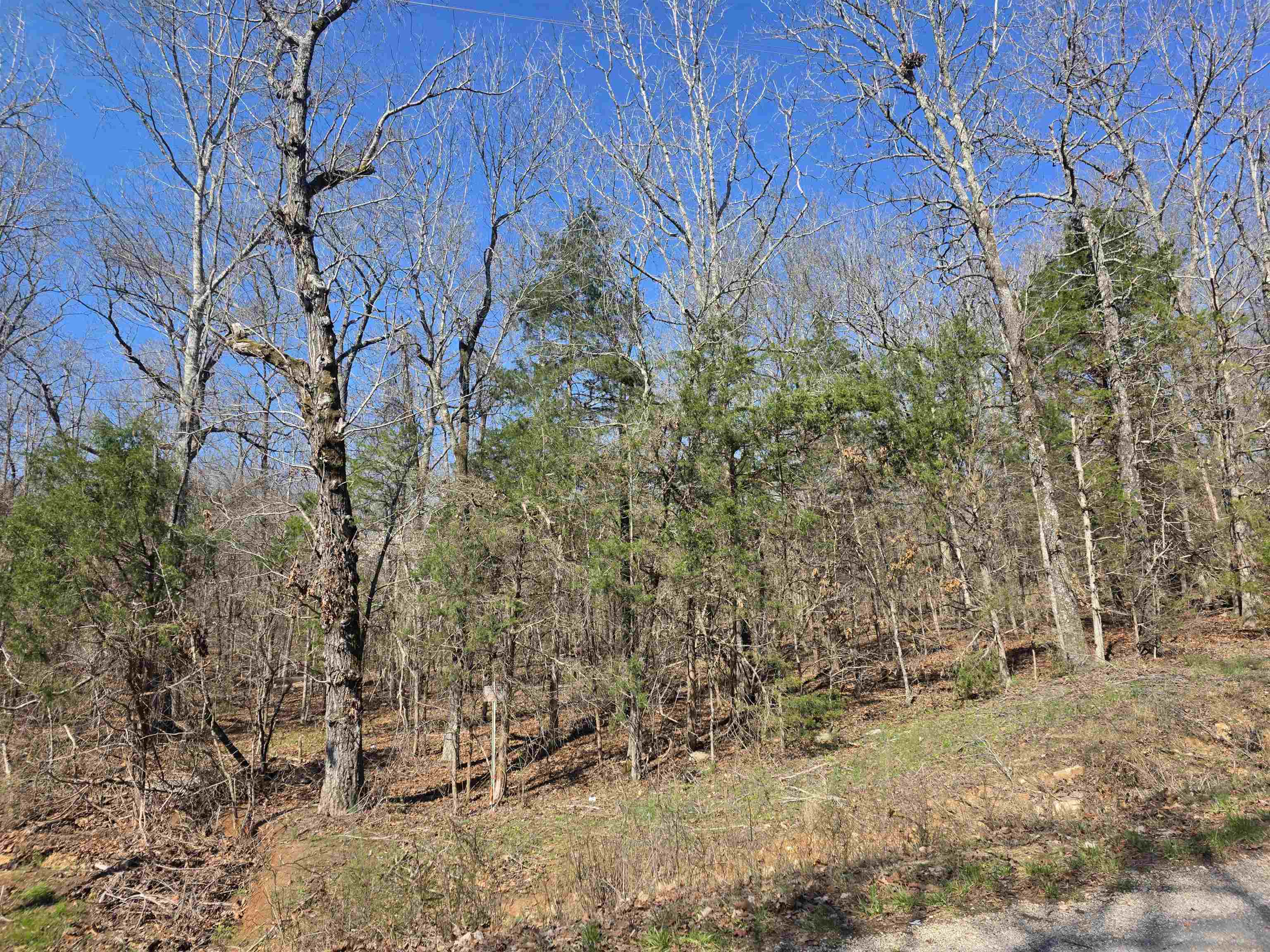 L7 B8 Hopi  Cherokee Village, AR