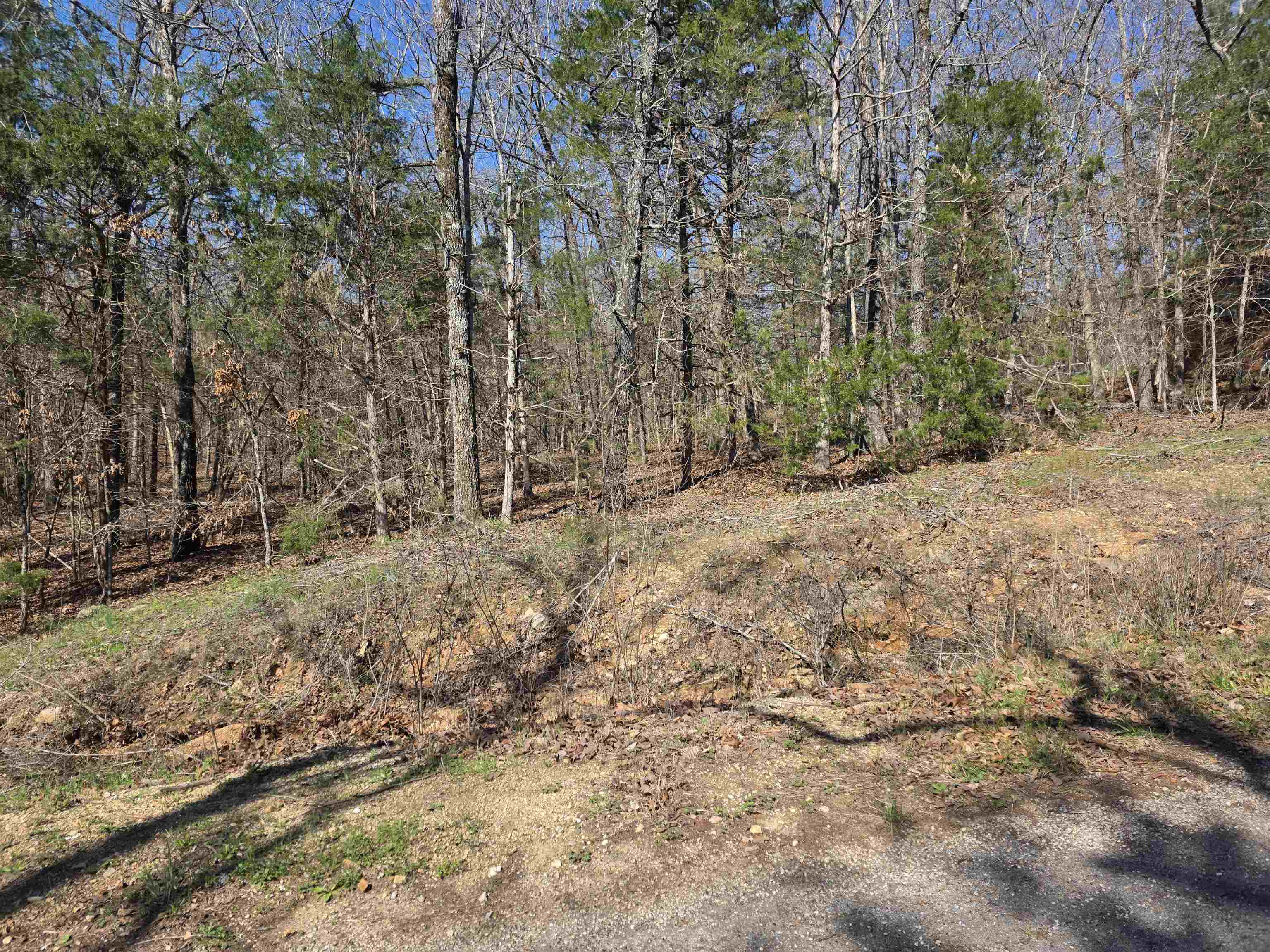 L7 B8 Hopi  Cherokee Village, AR