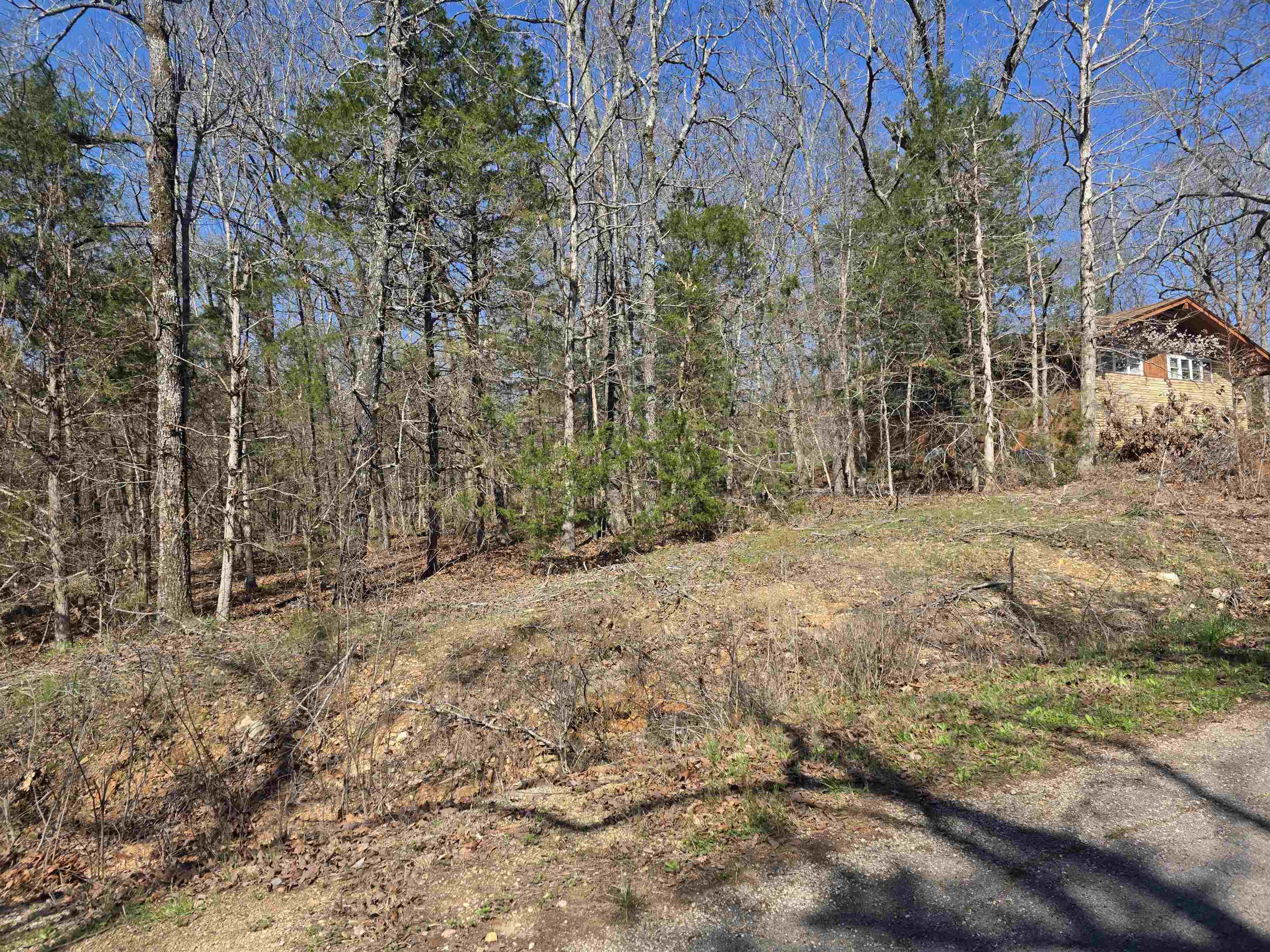 L7 B8 Hopi  Cherokee Village, AR