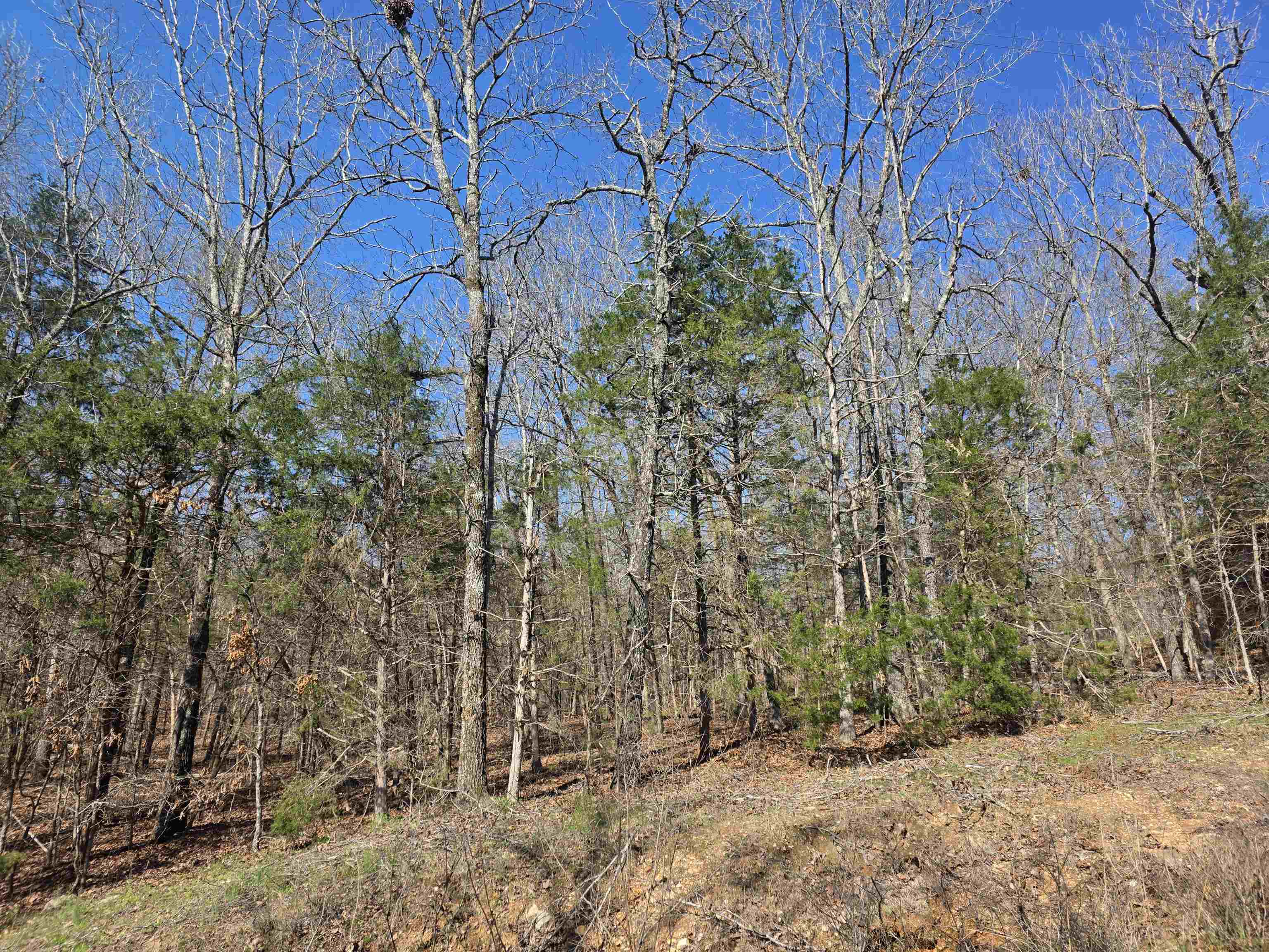 L7 B8 Hopi  Cherokee Village, AR