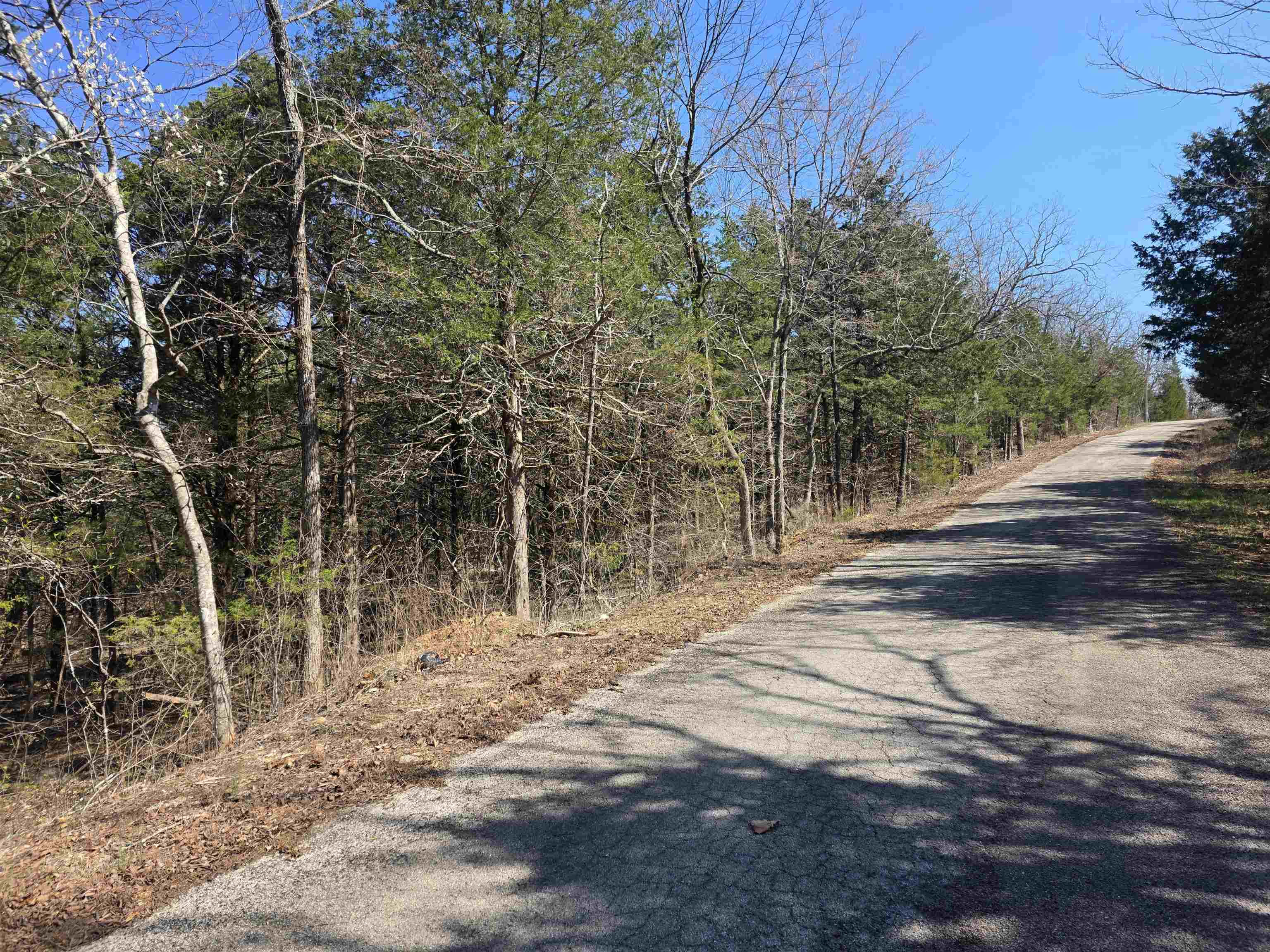 L12 B1 Hernando  Cherokee Village, AR