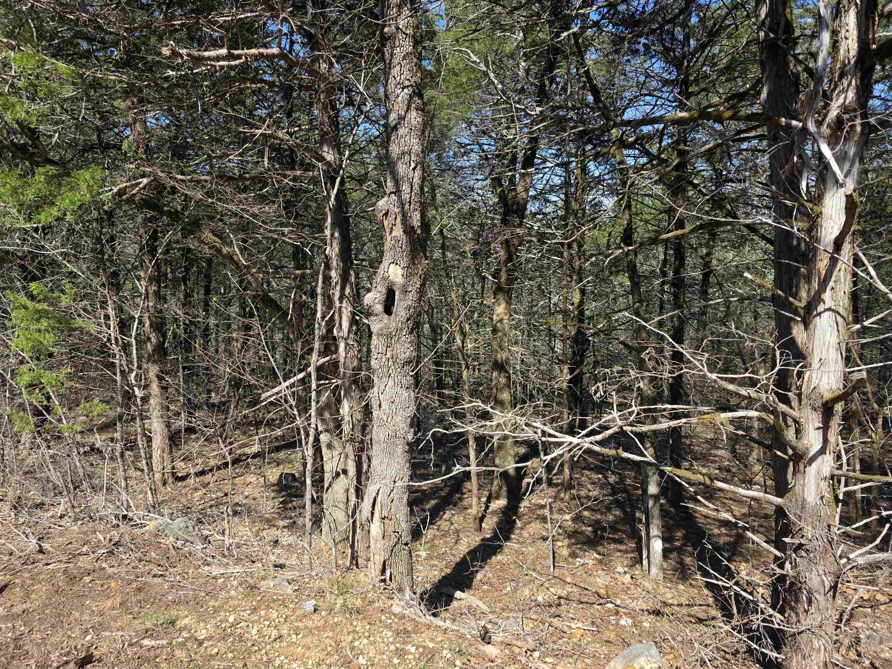 L12 B1 Hernando  Cherokee Village, AR