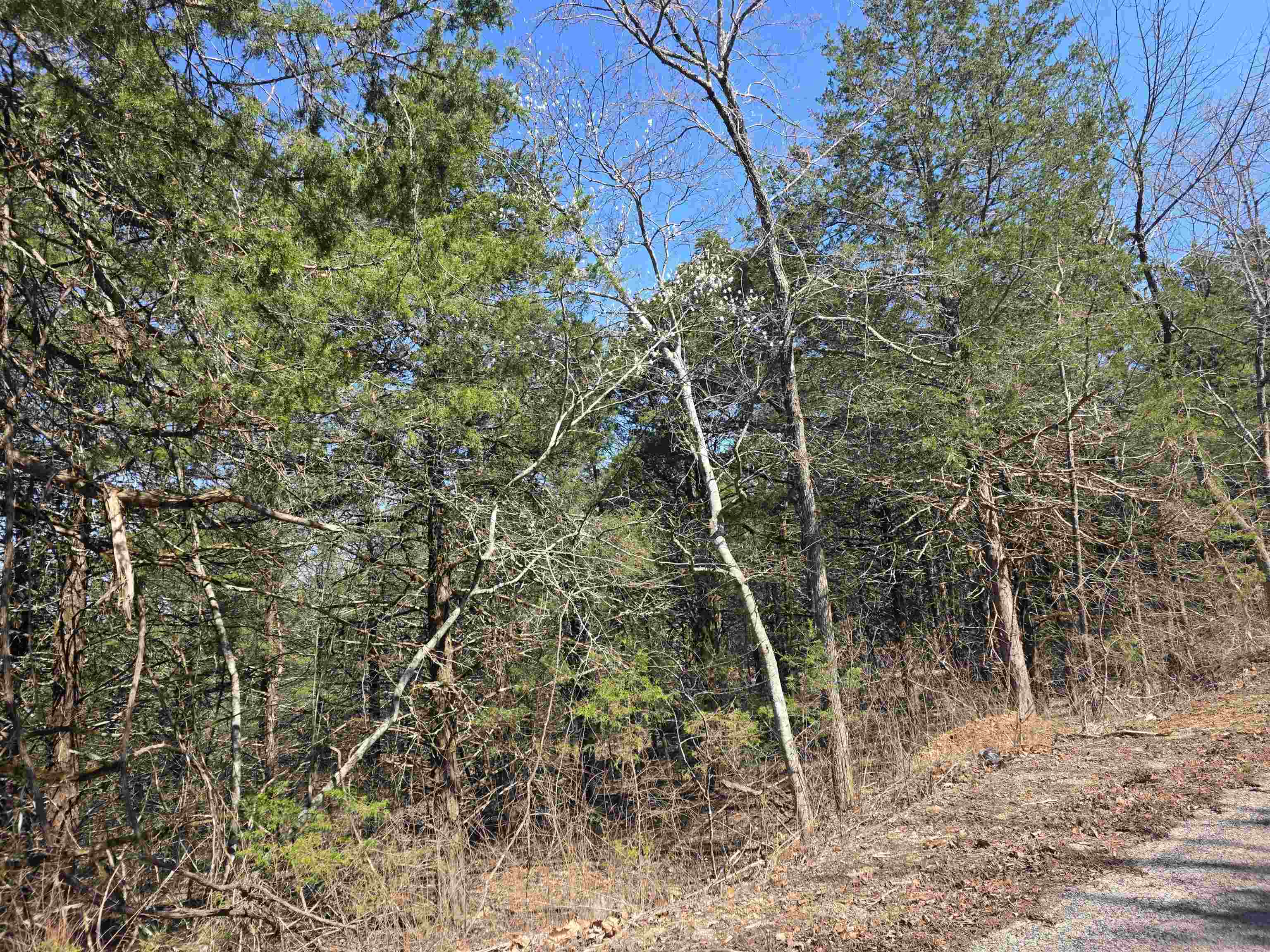 L12 B1 Hernando  Cherokee Village, AR