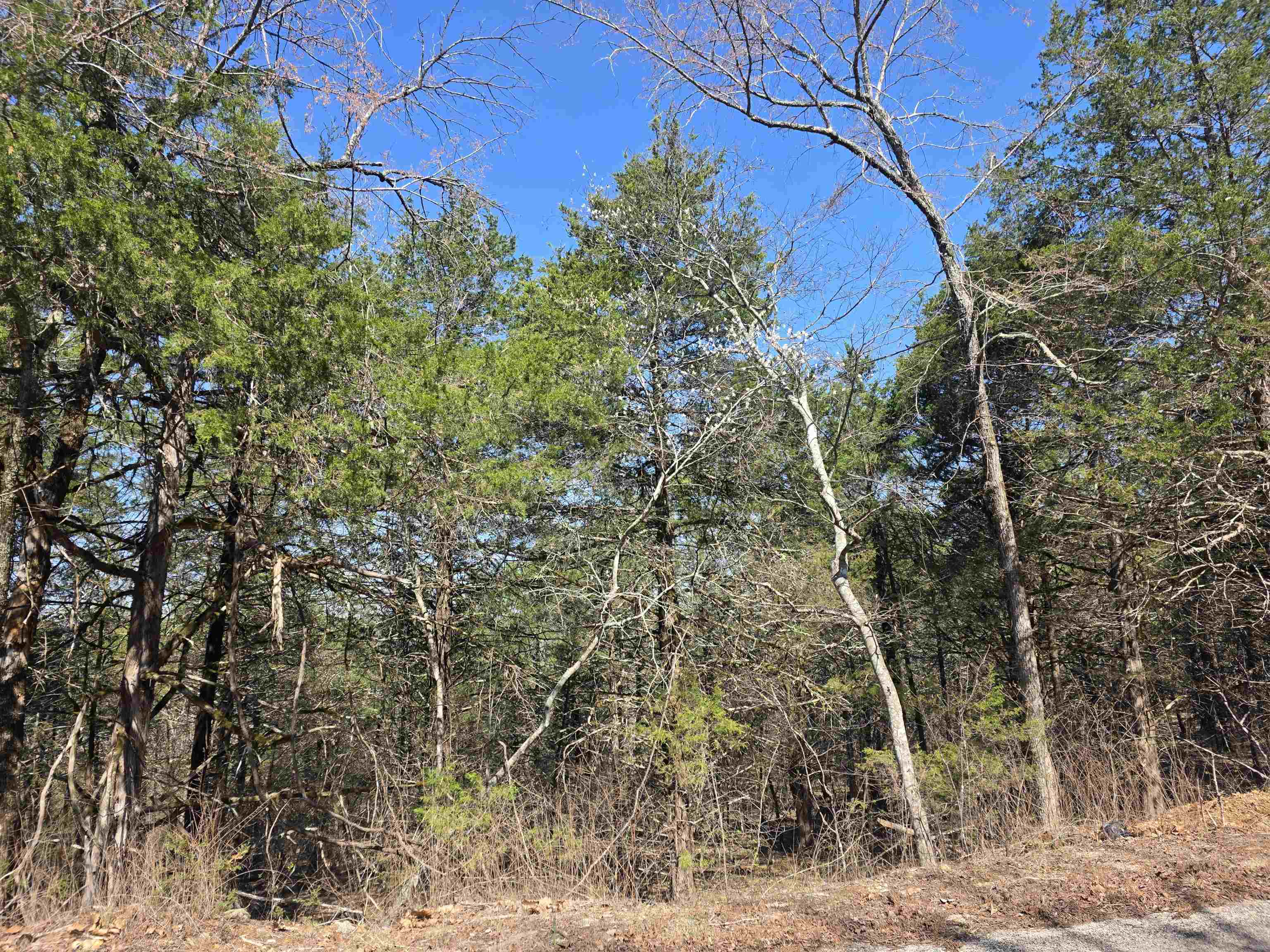 L12 B1 Hernando  Cherokee Village, AR