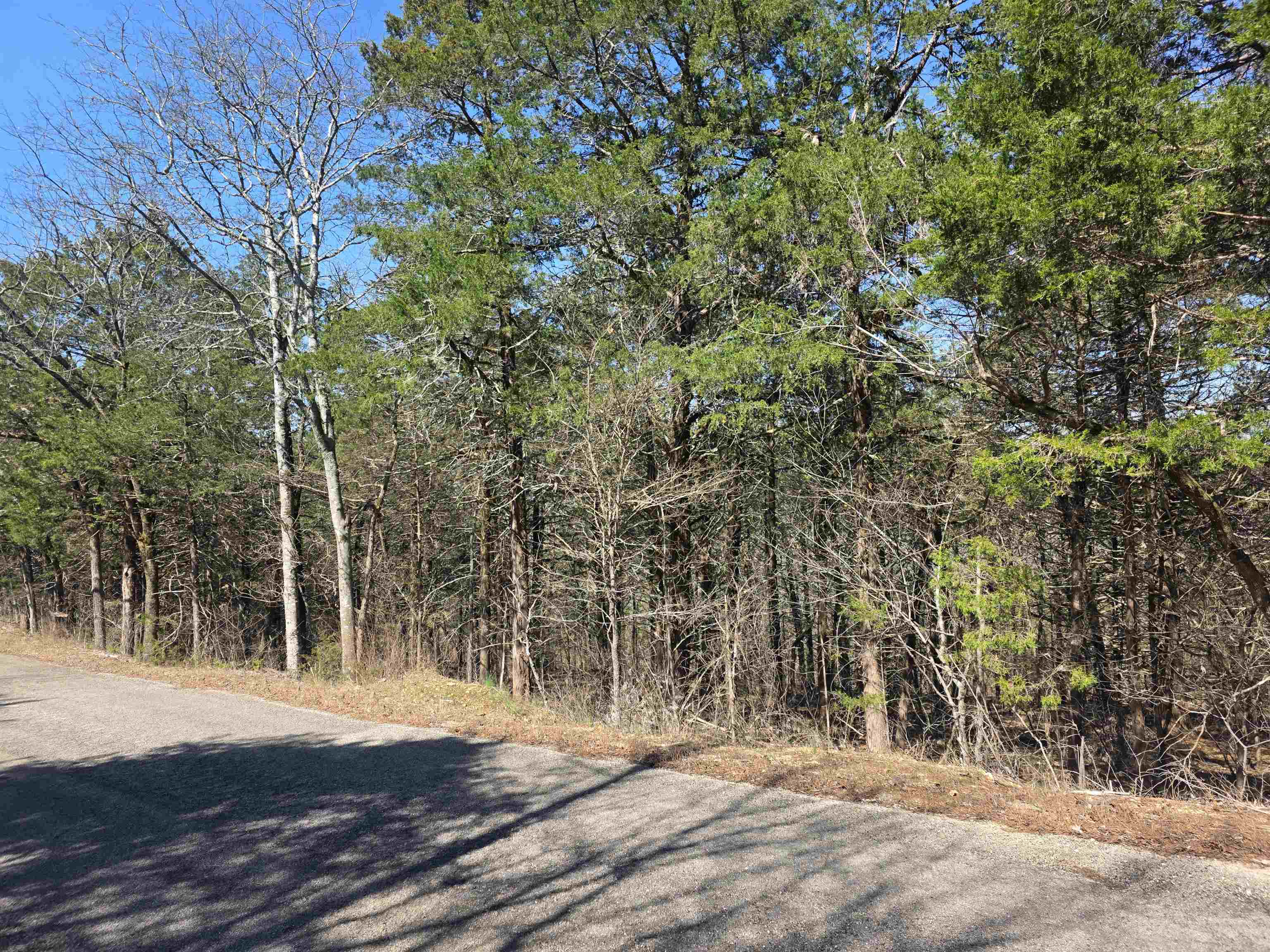 L12 B1 Hernando  Cherokee Village, AR