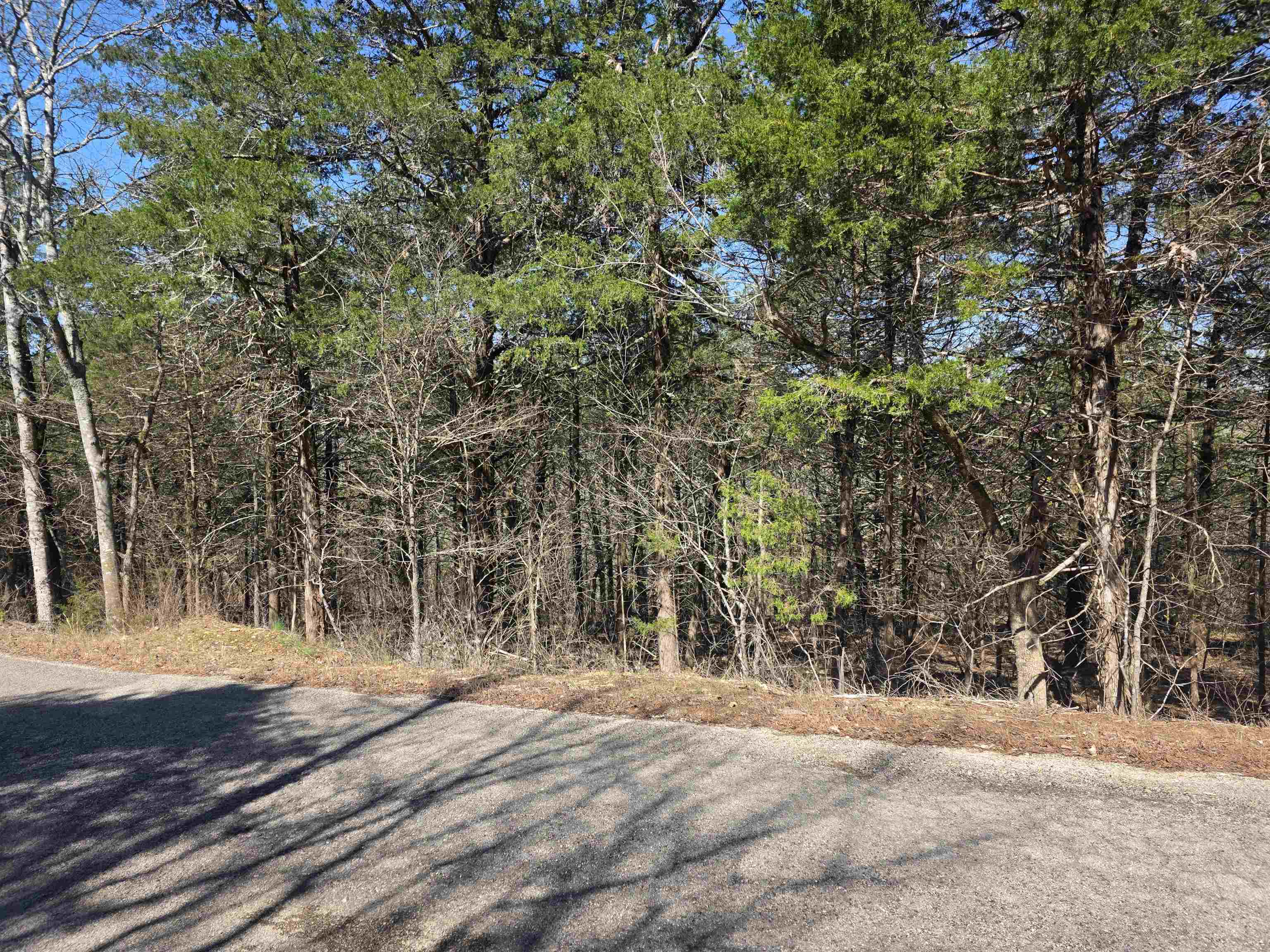 L12 B1 Hernando  Cherokee Village, AR