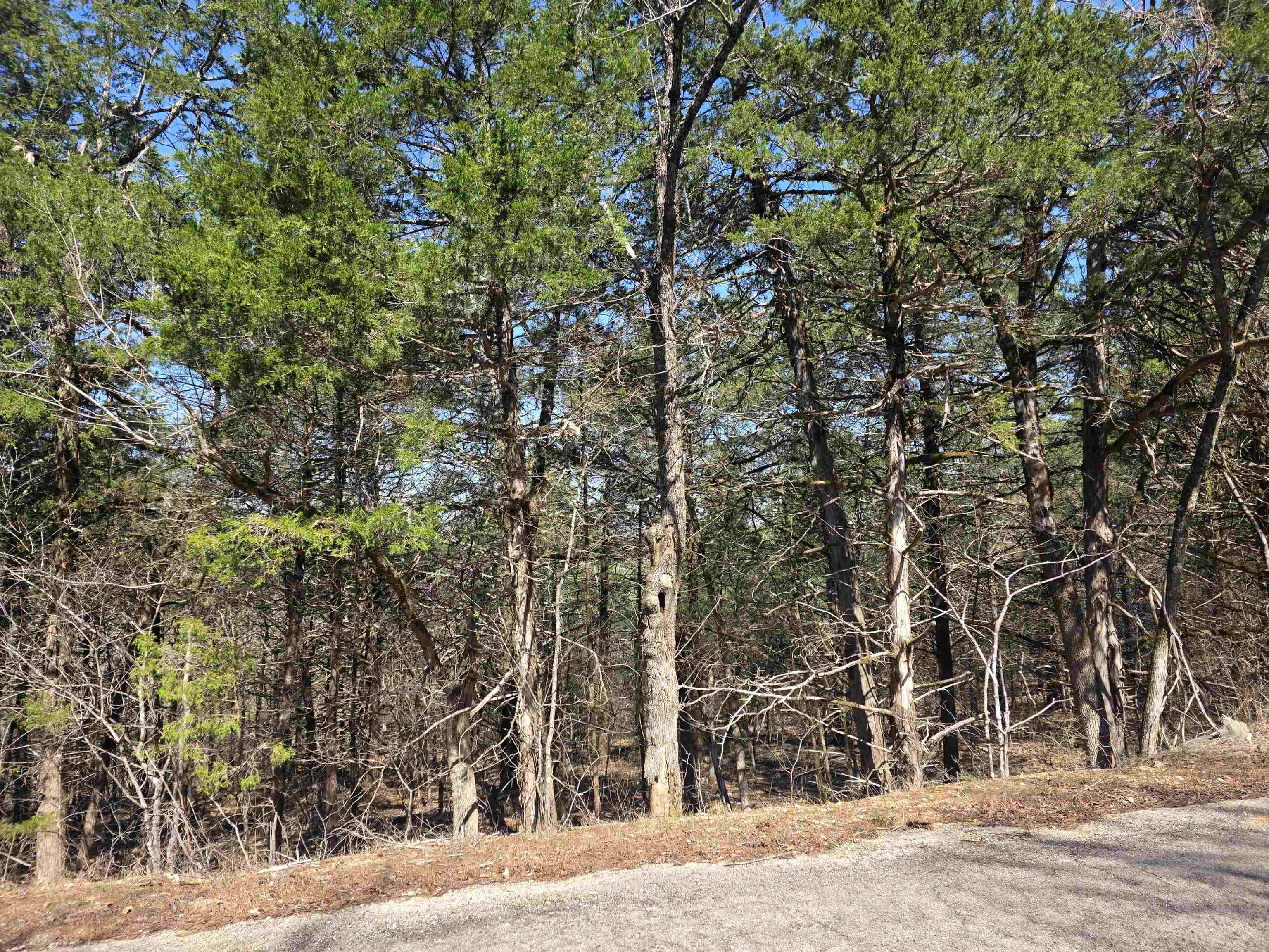 L12 B1 Hernando  Cherokee Village, AR