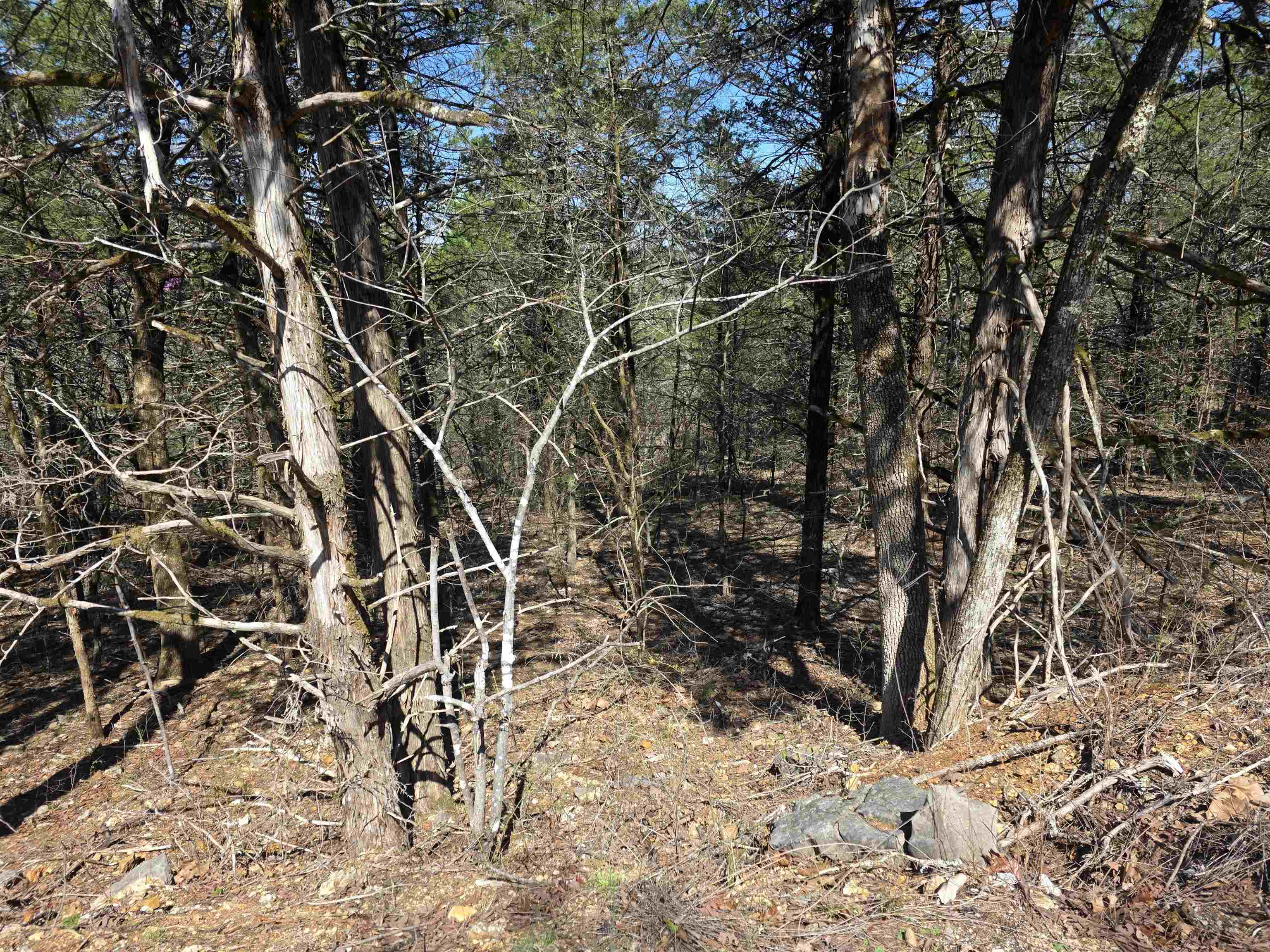 L12 B1 Hernando  Cherokee Village, AR