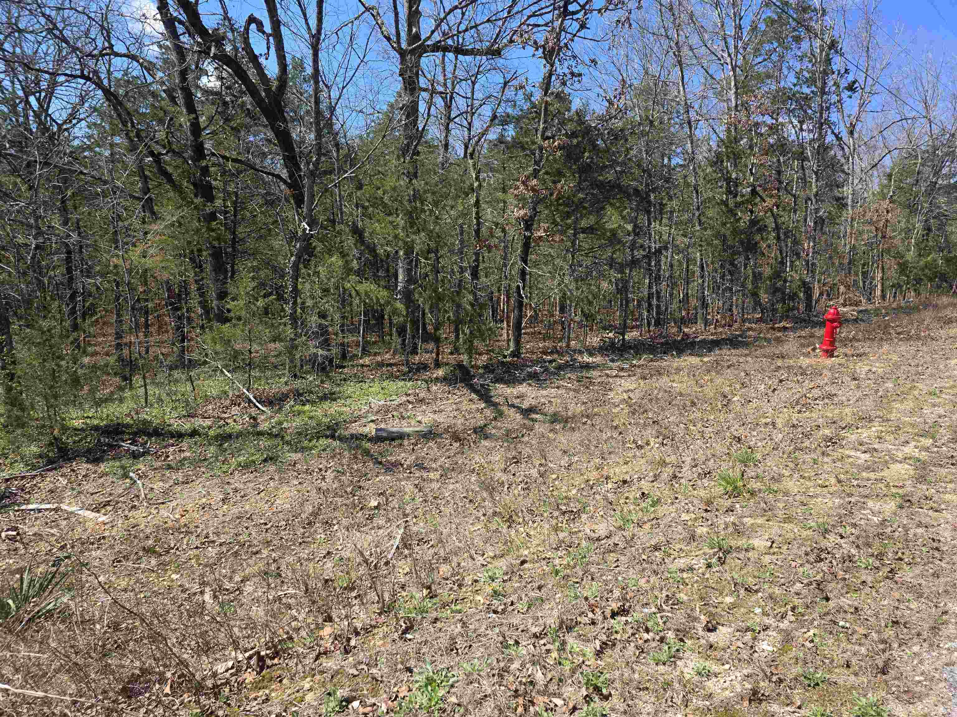 L32 B19 Katta  Cherokee Village, AR