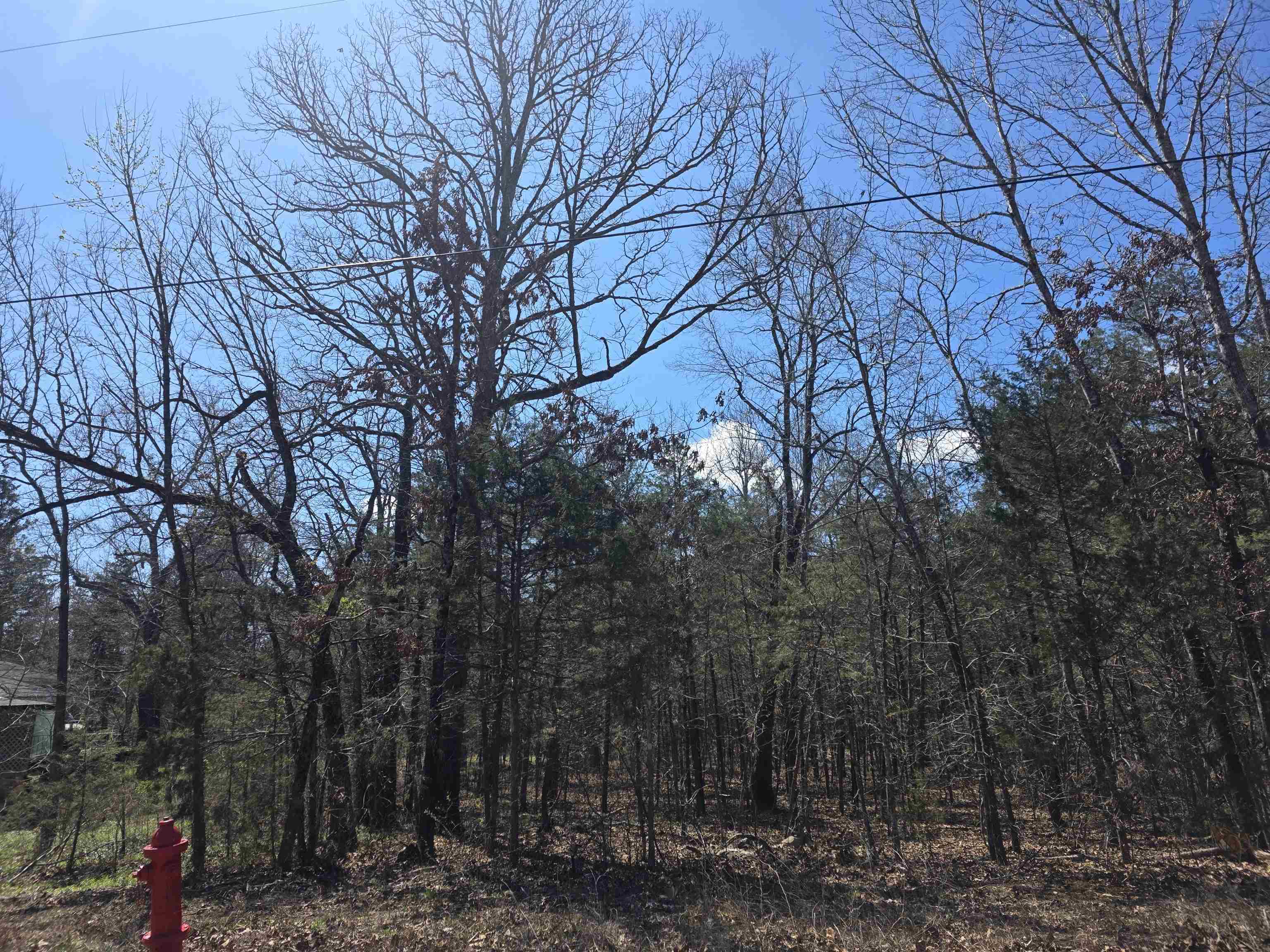 L32 B19 Katta  Cherokee Village, AR