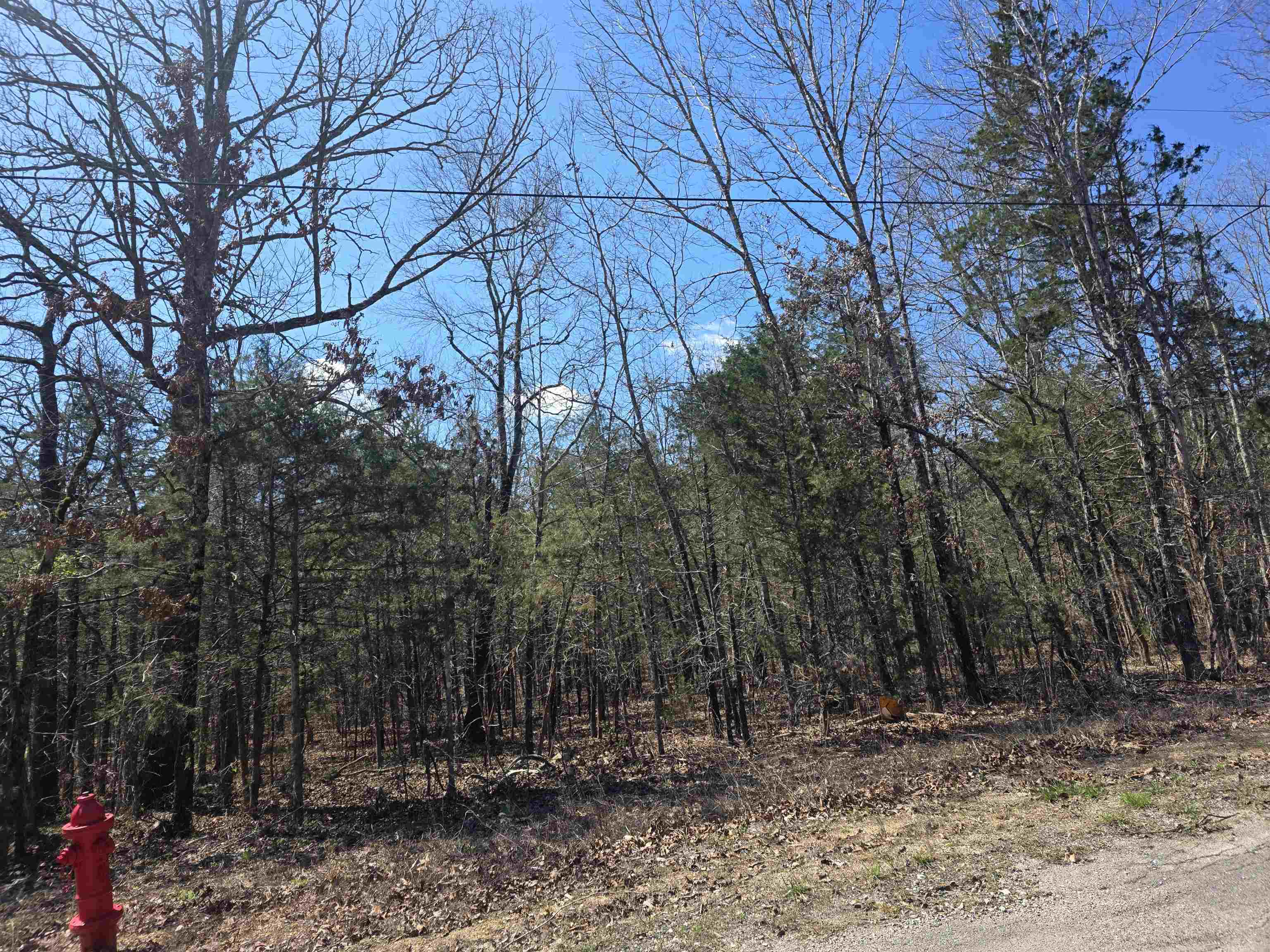 L32 B19 Katta  Cherokee Village, AR