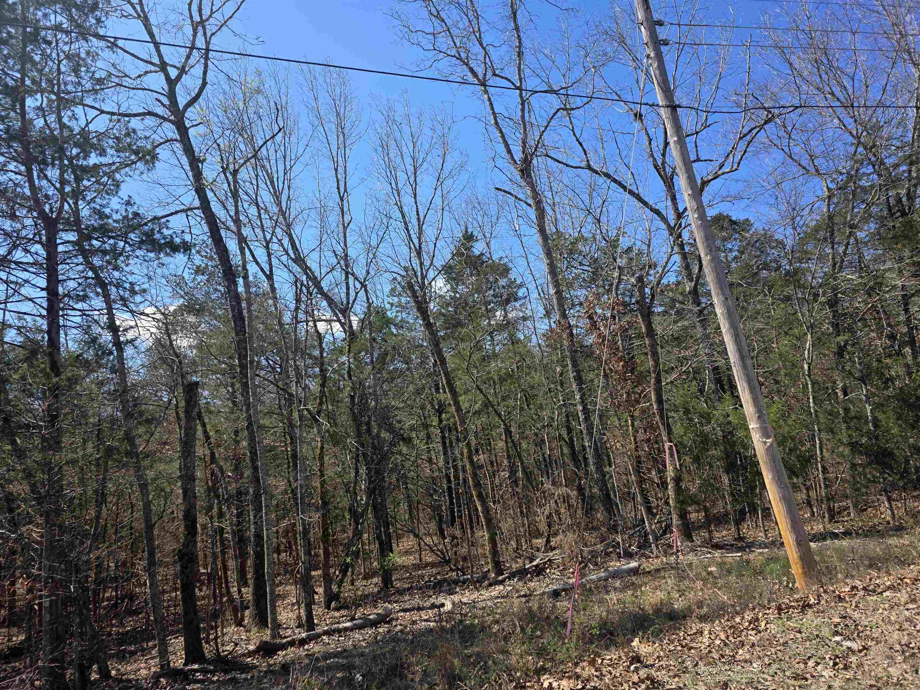 L31 B19 Katta  Cherokee Village, AR