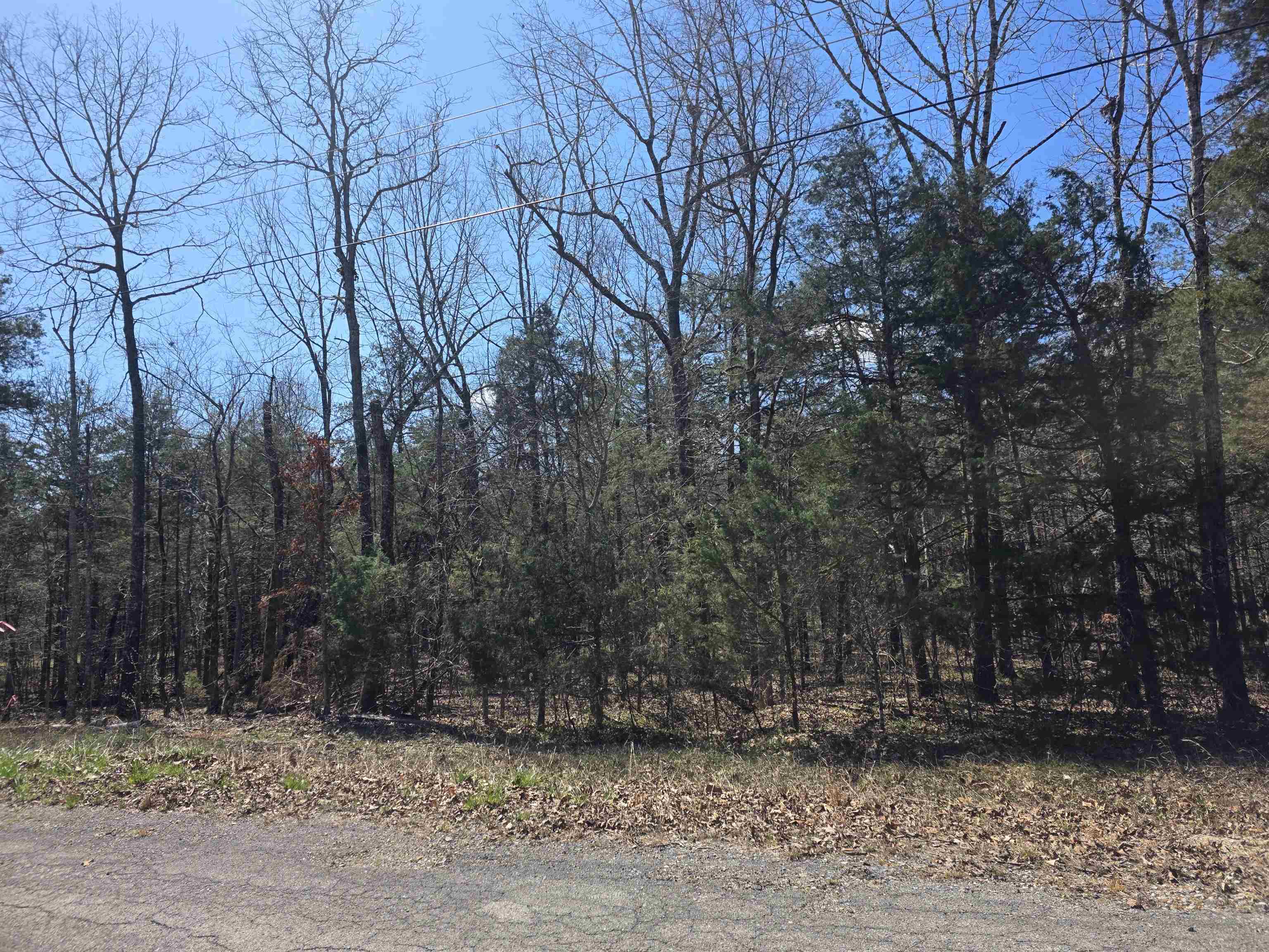 L30 B19 Katta  Cherokee Village, AR