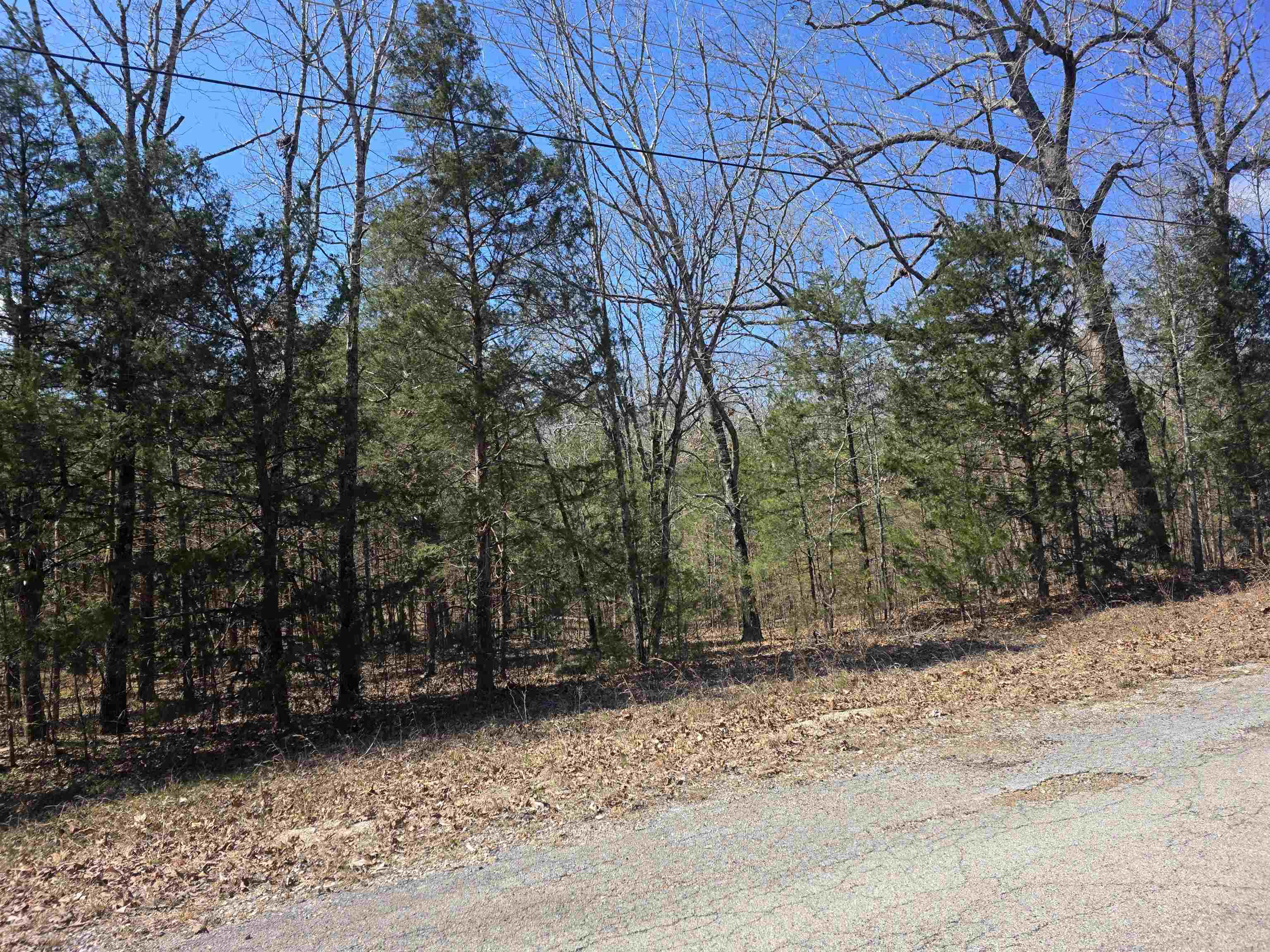 L30 B19 Katta  Cherokee Village, AR