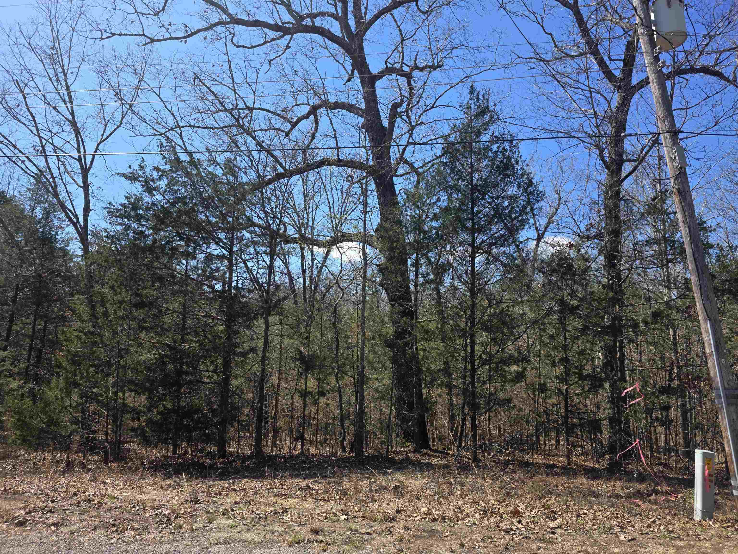 L29 B19 Katta  Cherokee Village, AR