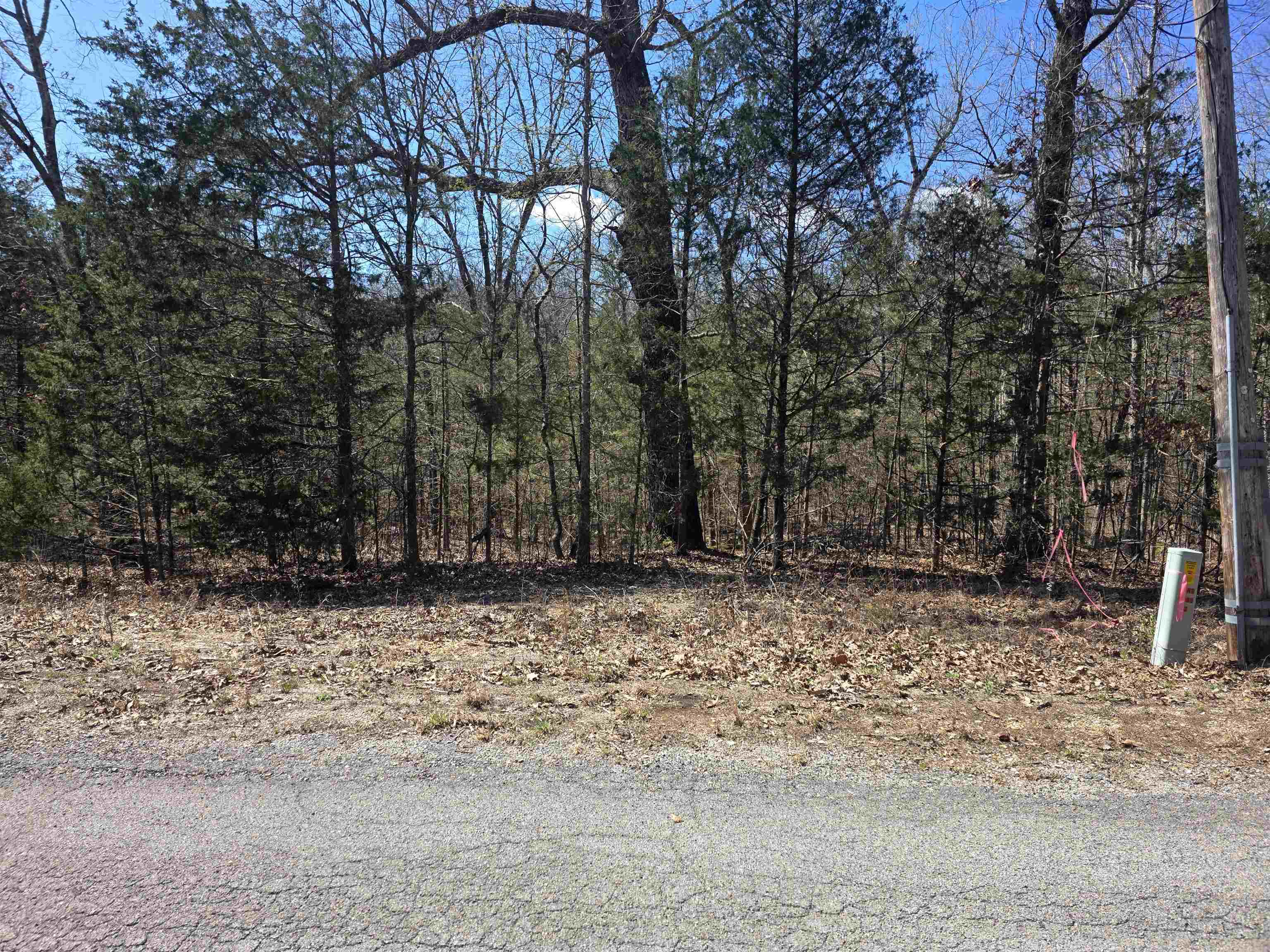L29 B19 Katta  Cherokee Village, AR