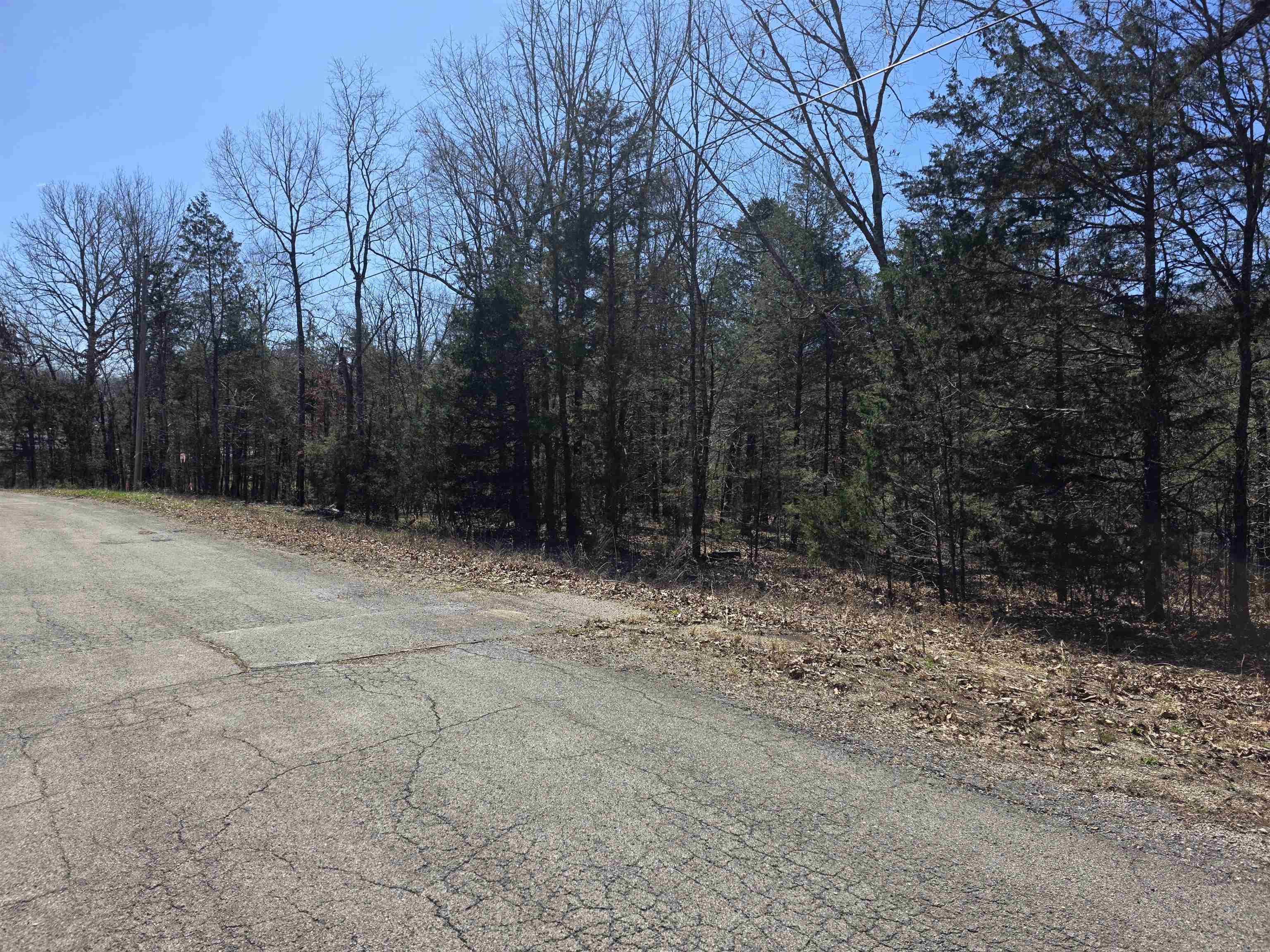 L29 B19 Katta  Cherokee Village, AR