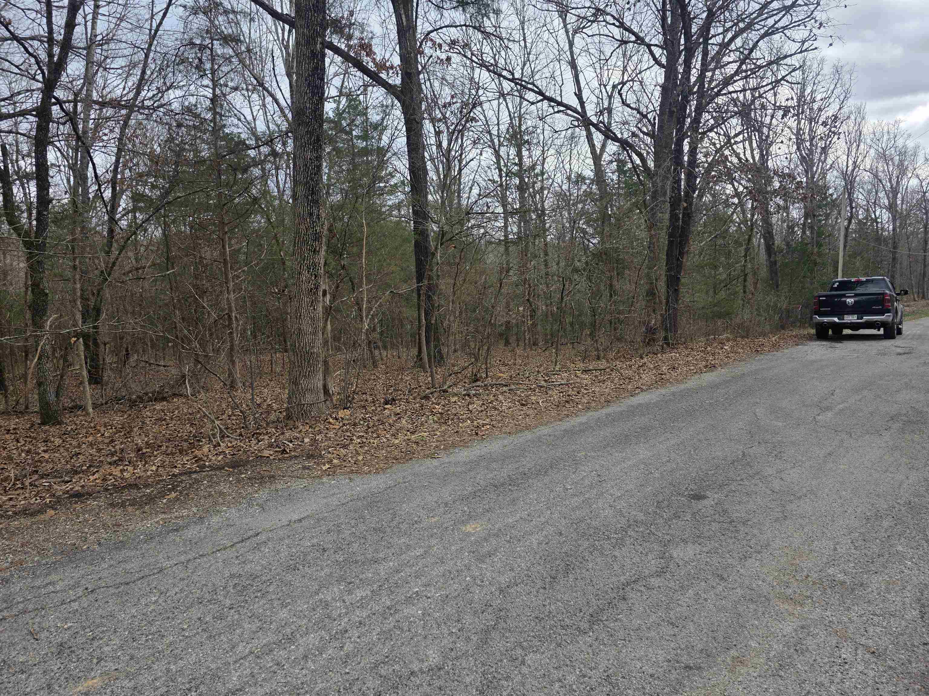 L19 B6 Big Horn  Cherokee Village, AR