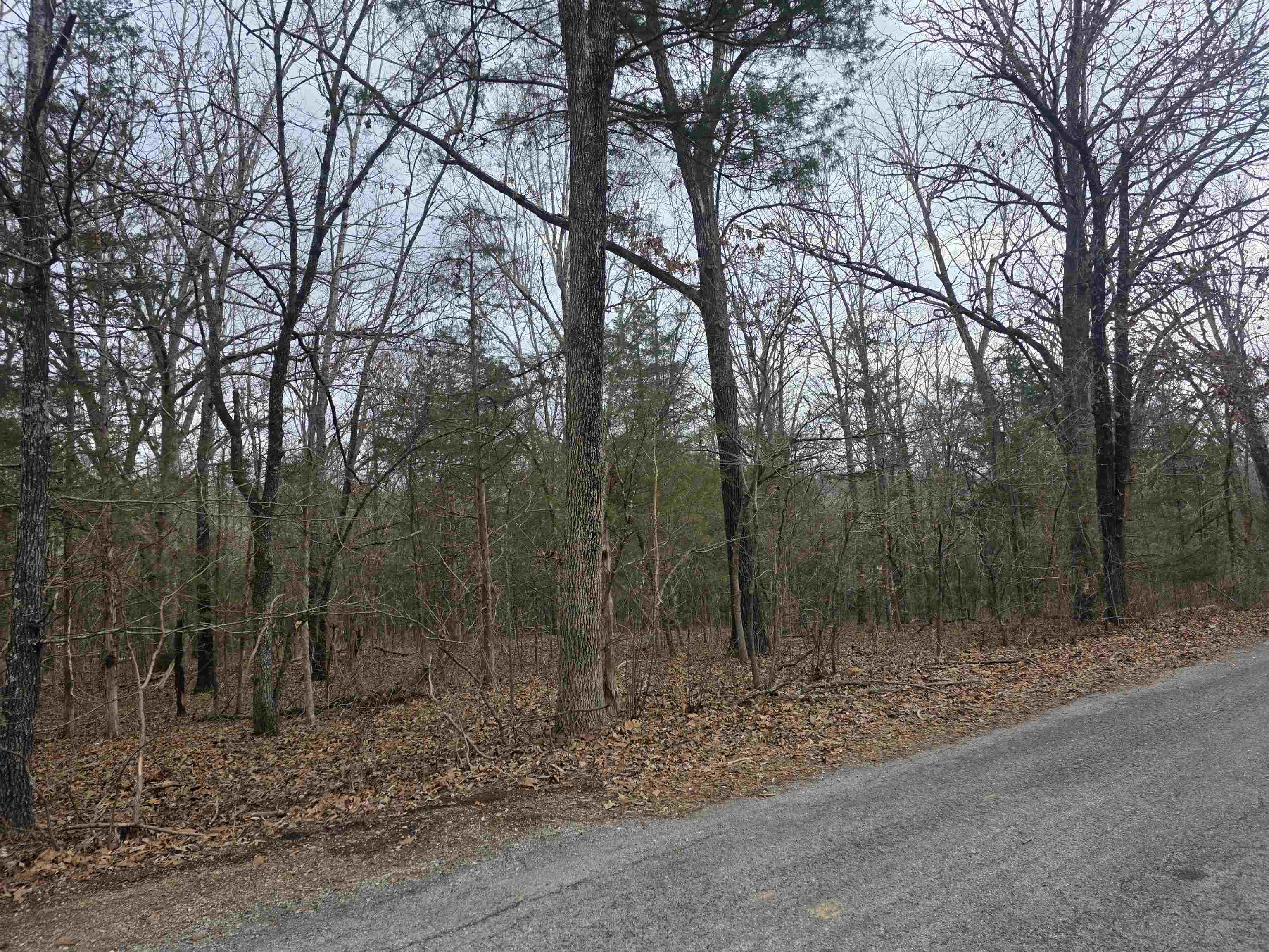 L19 B6 Big Horn  Cherokee Village, AR