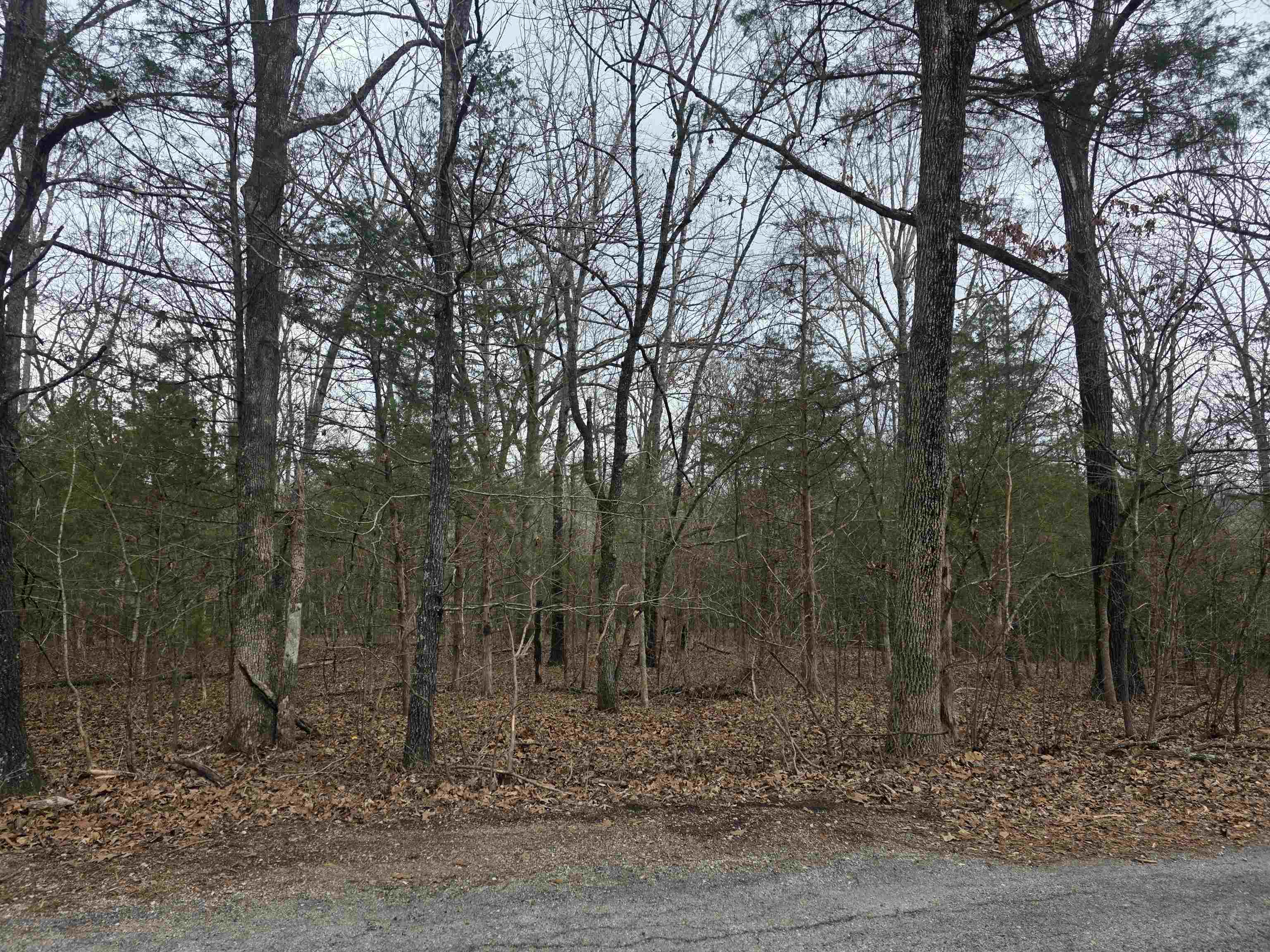 L19 B6 Big Horn  Cherokee Village, AR