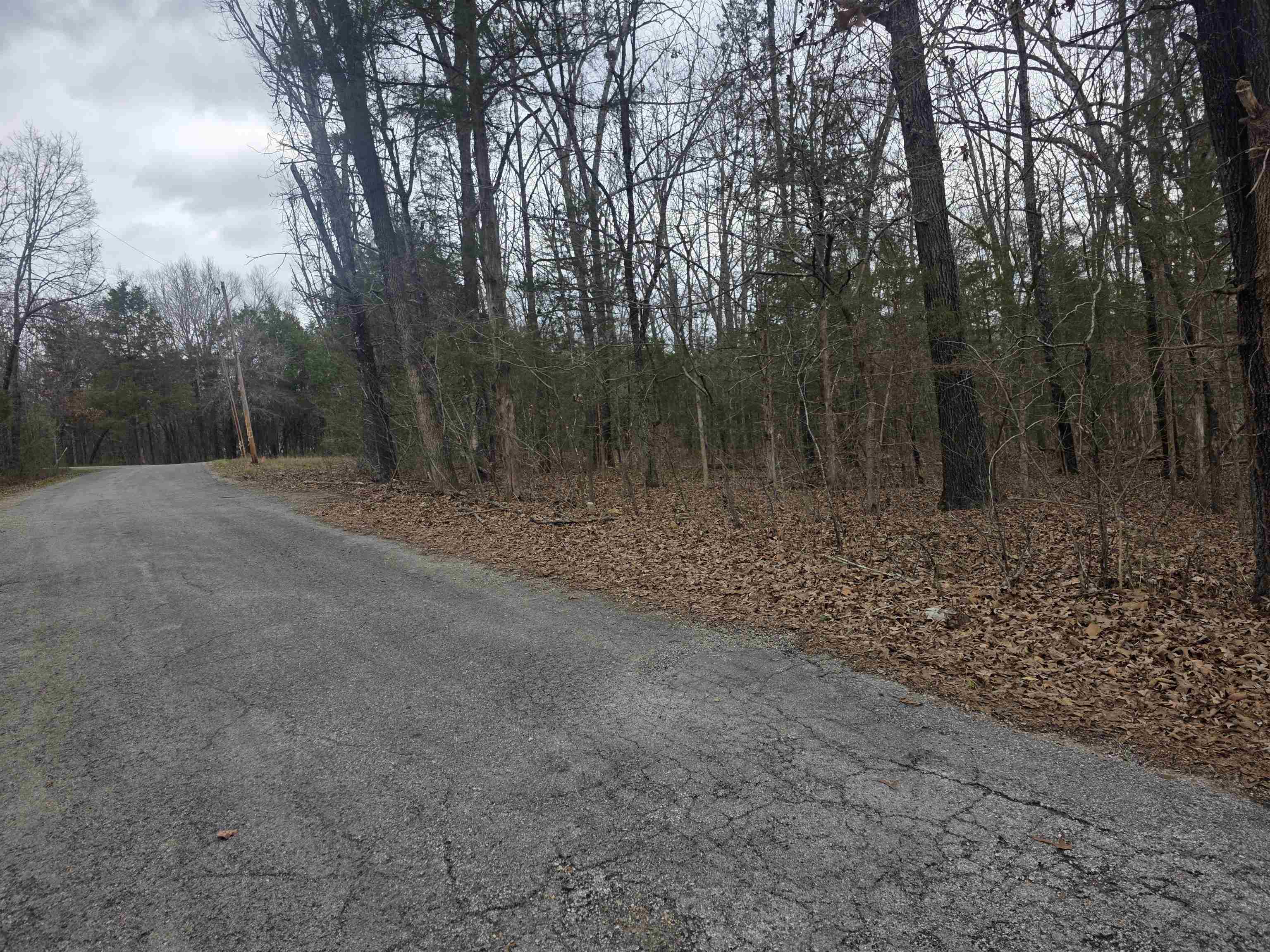 L19 B6 Big Horn  Cherokee Village, AR