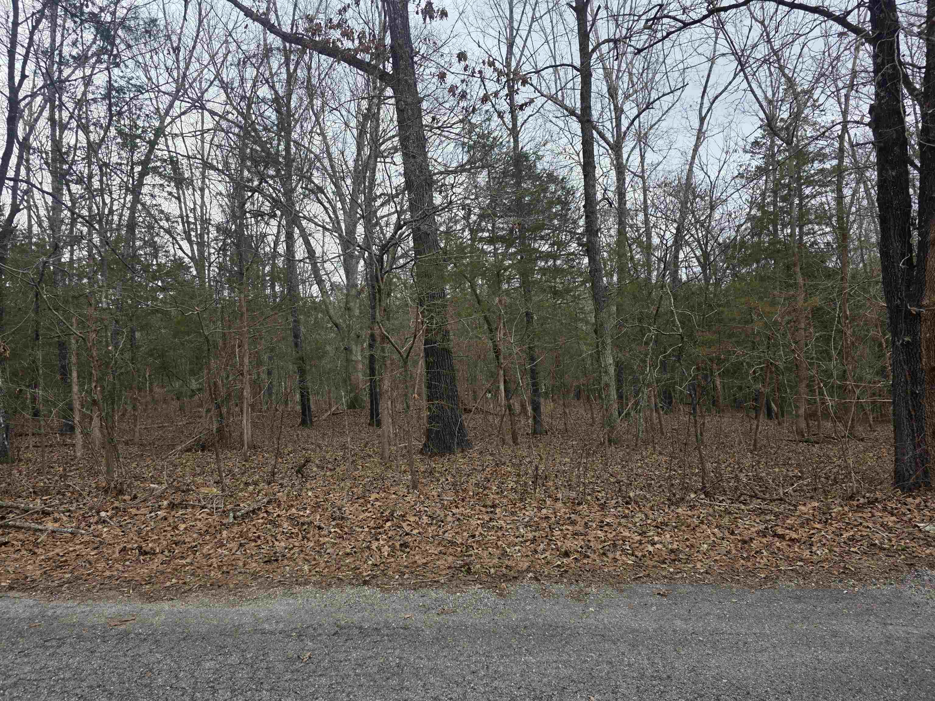 L19 B6 Big Horn  Cherokee Village, AR