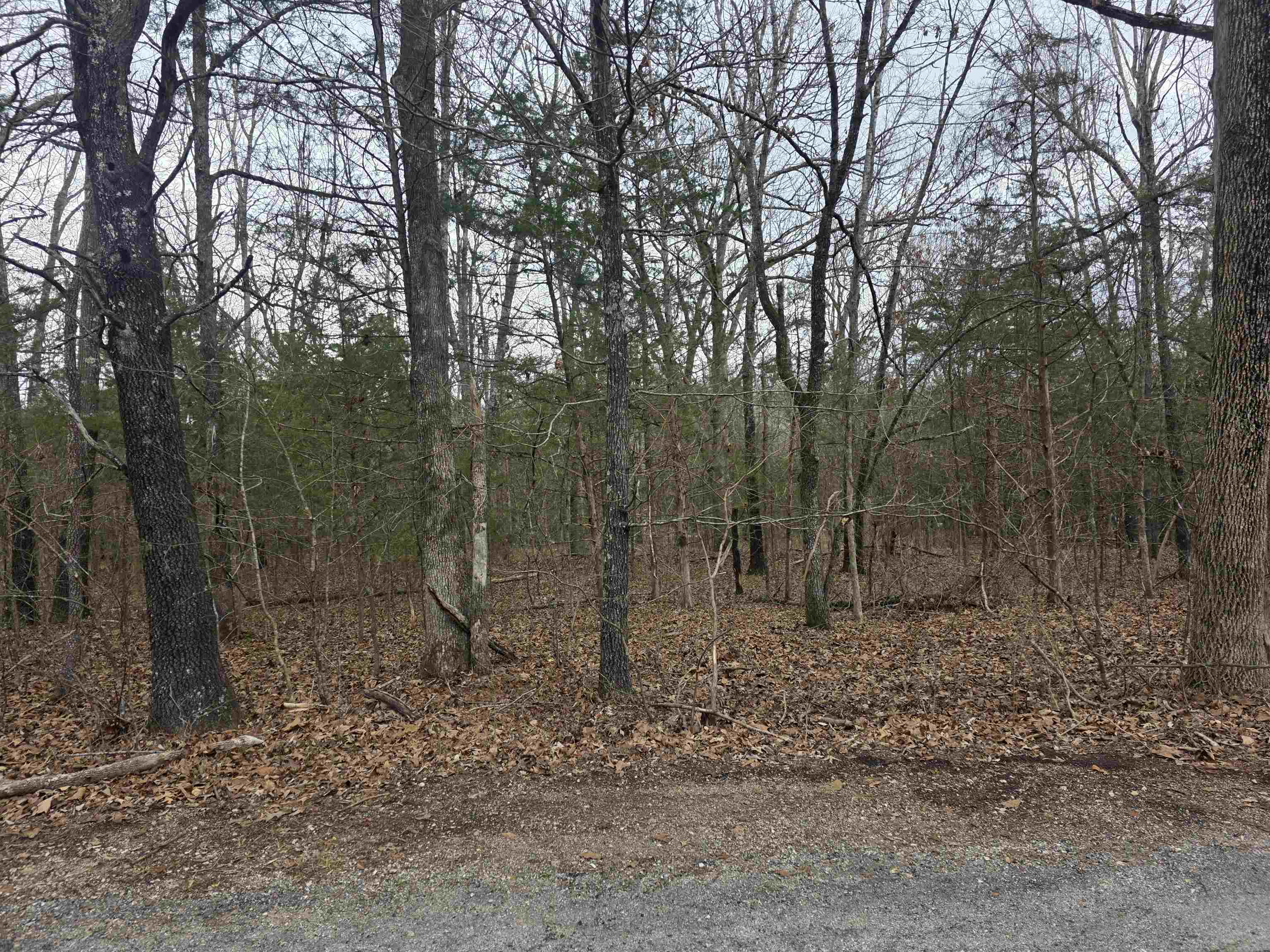 L19 B6 Big Horn  Cherokee Village, AR