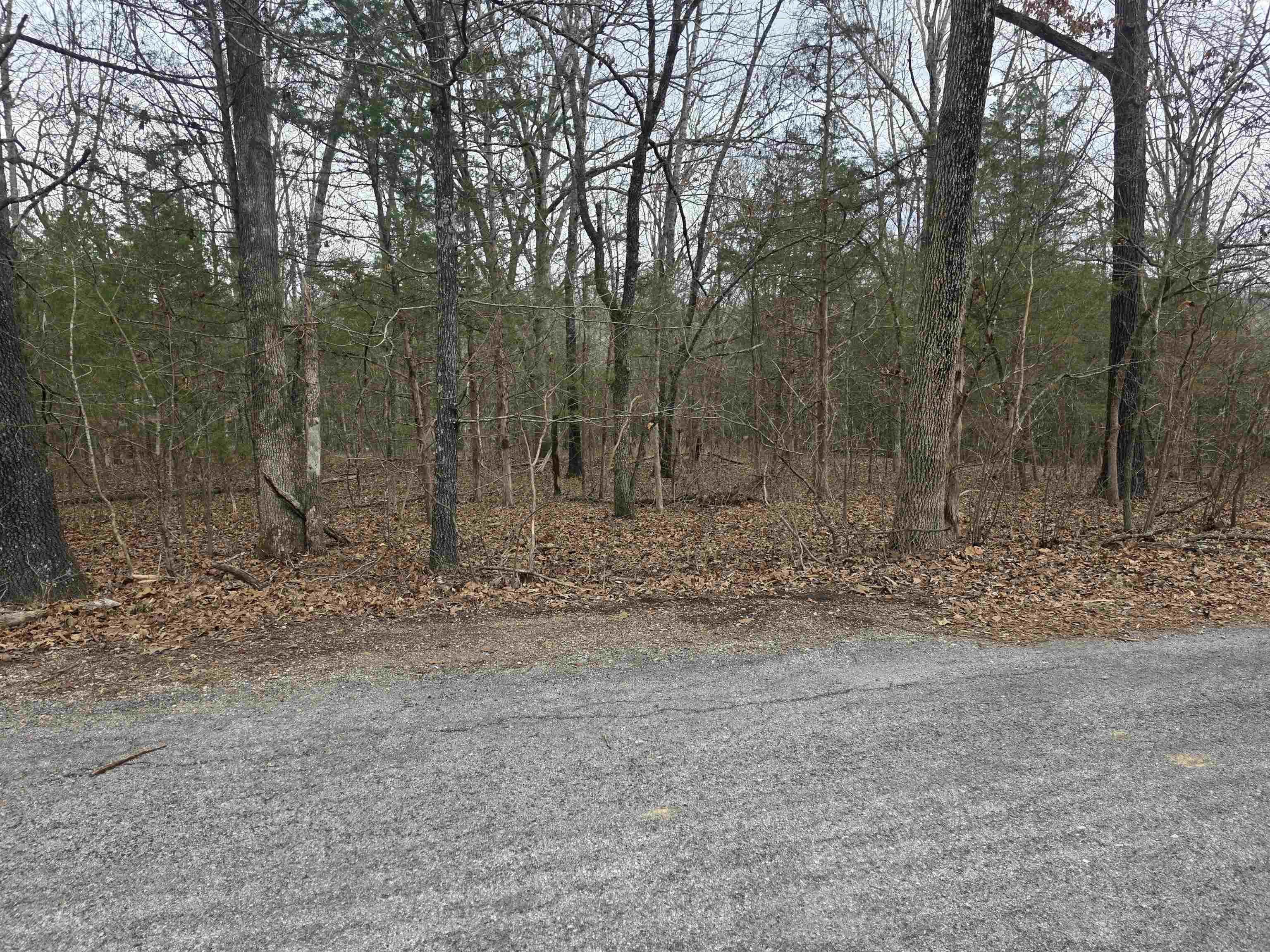 L19 B6 Big Horn  Cherokee Village, AR