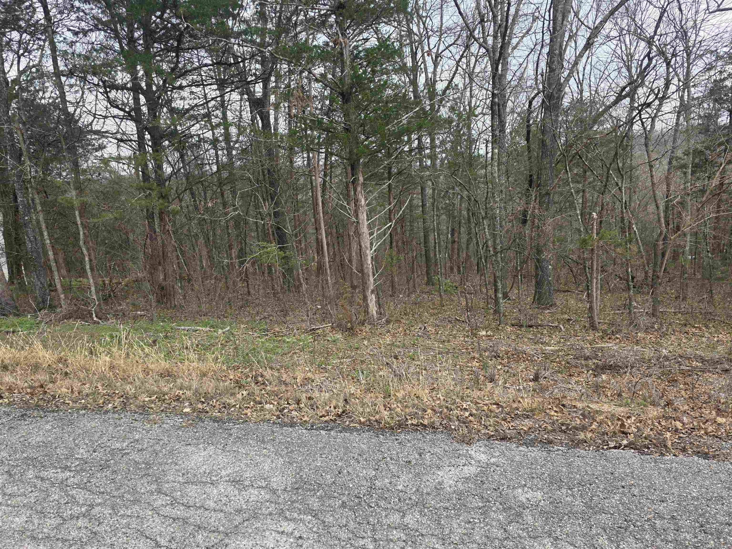 L9 B3 Mineola  Cherokee Village, AR