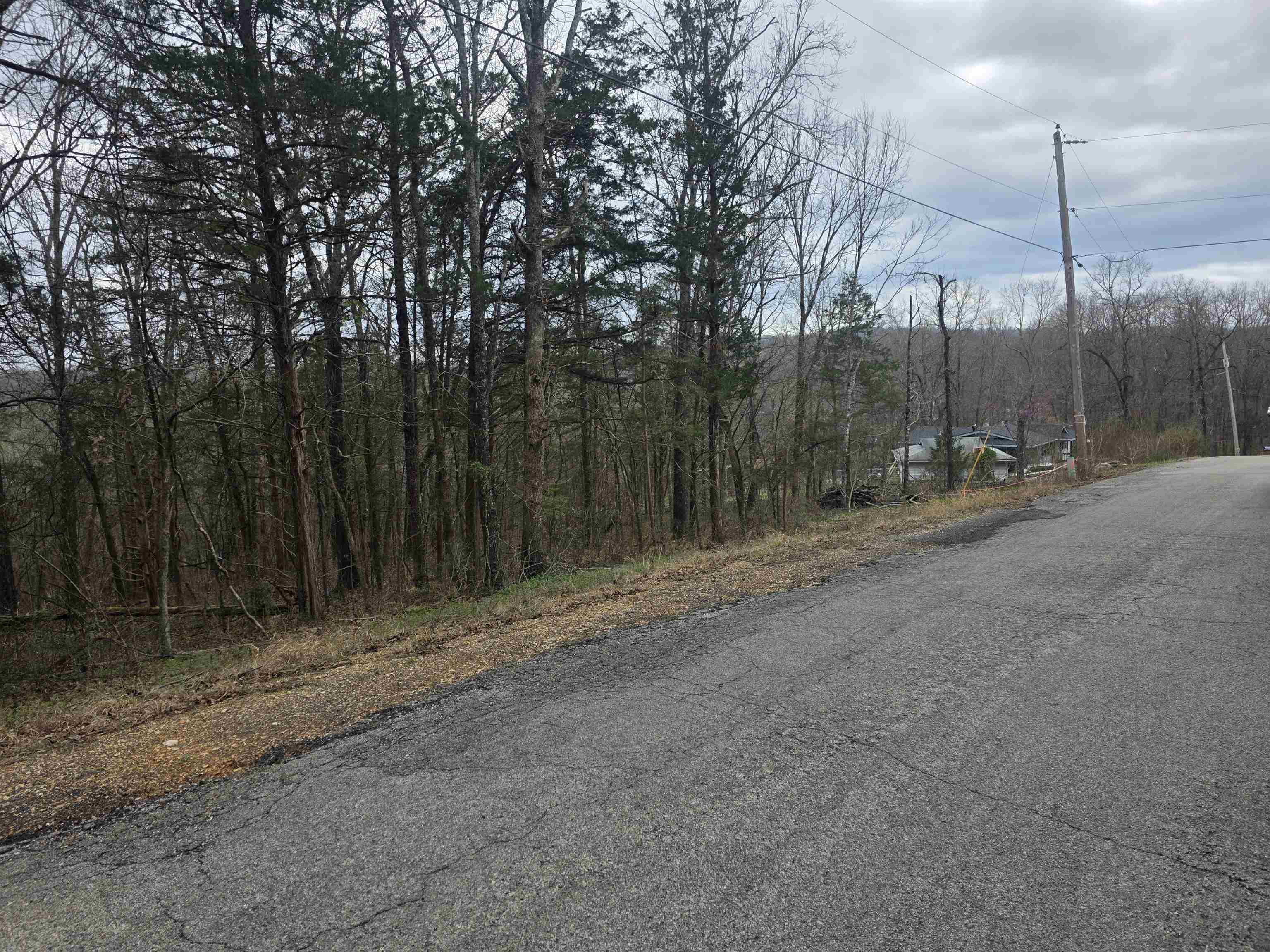 L9 B3 Mineola  Cherokee Village, AR