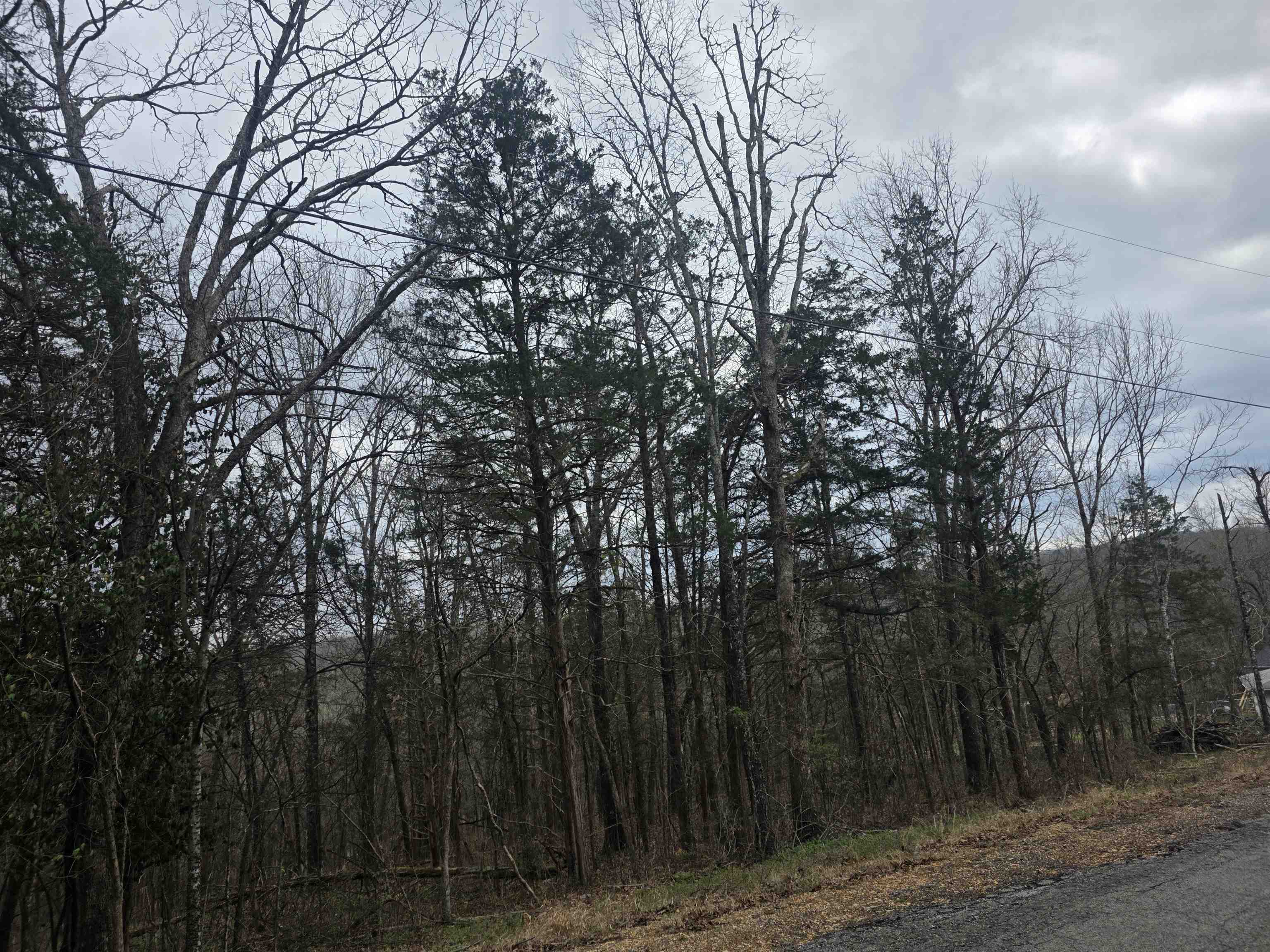 L9 B3 Mineola  Cherokee Village, AR